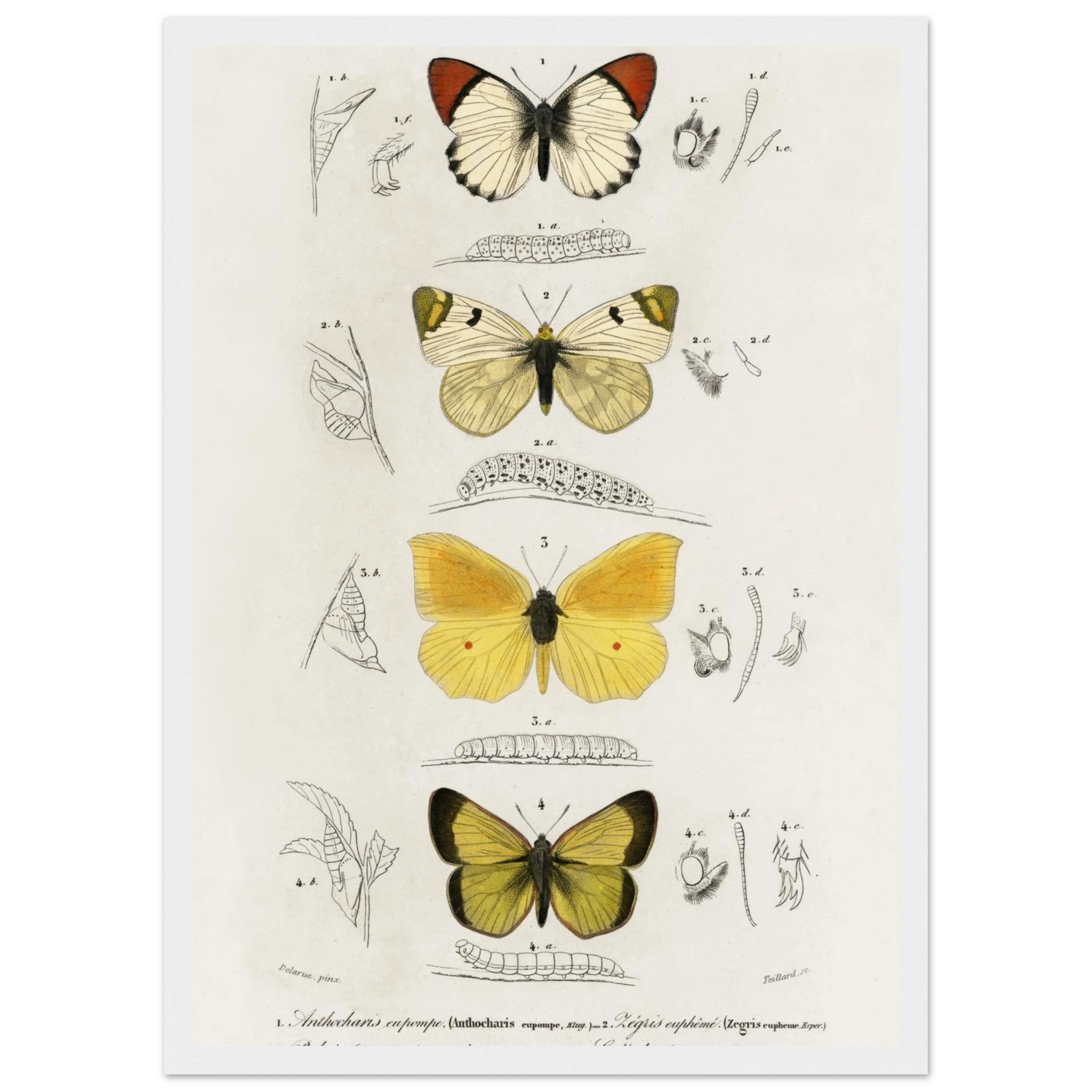 2cafa235-5e3b-4e6f-a25c-c7e898263ccc