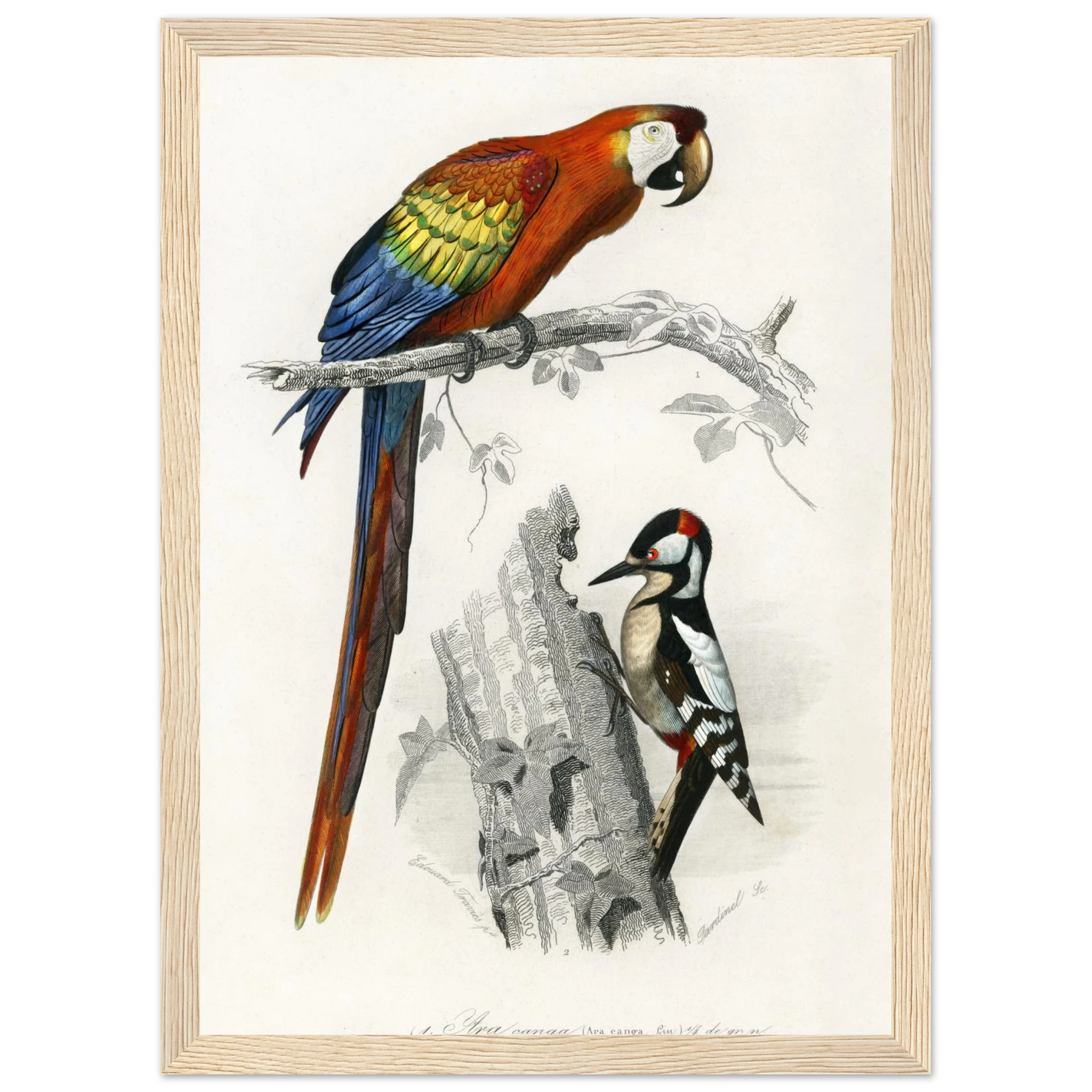 2ce22049-163b-4ace-b6be-cfbedfeaa8e0