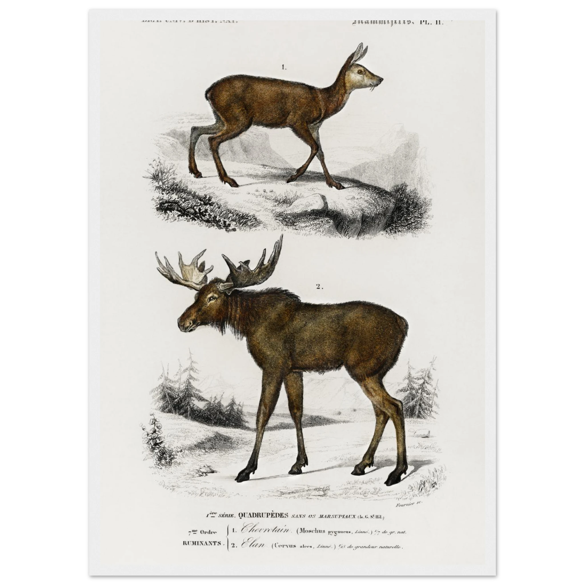 2d00460f-9a28-4ab3-8d7b-89188e07db54