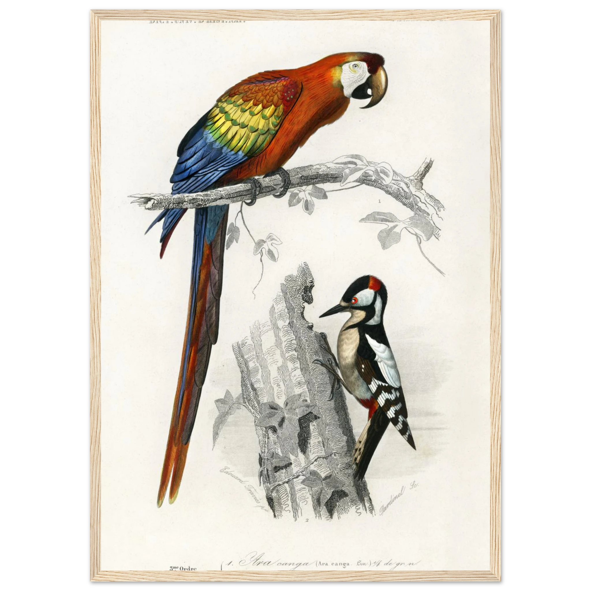 2d99662a-c909-4764-8ebb-653063fcc302