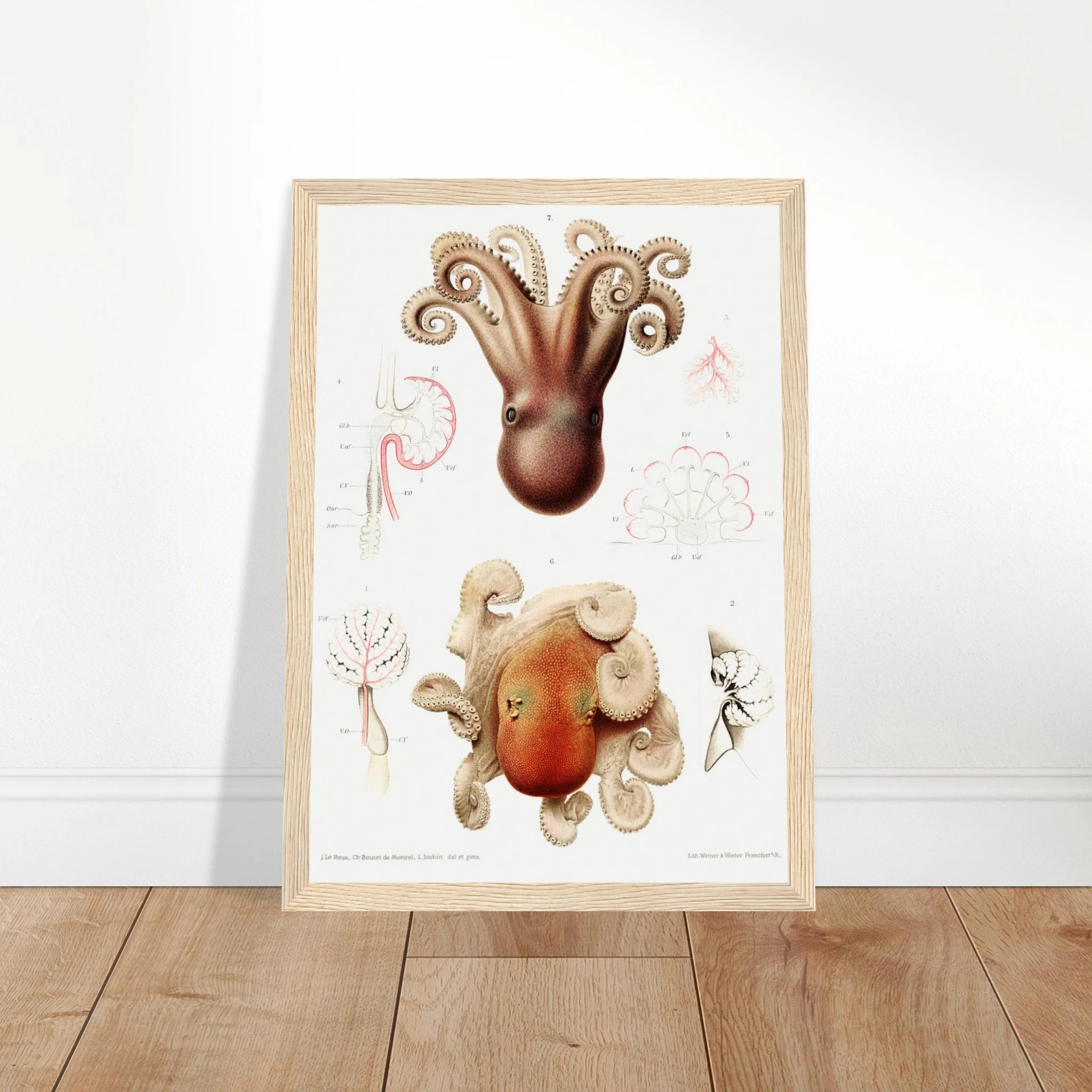 2da74b5c-48a7-4b71-8aef-9cf8cebac74d