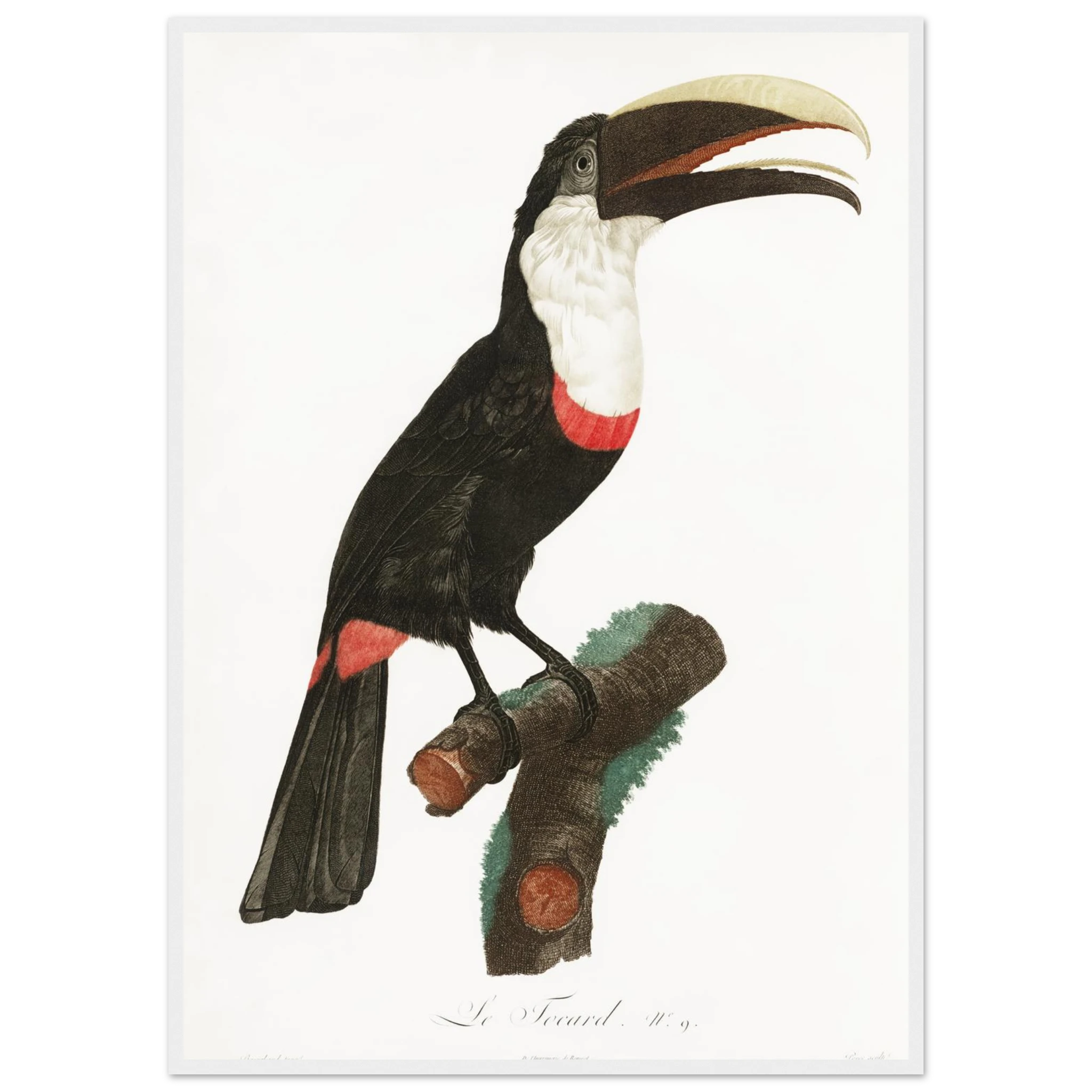 2dd494be-15f8-48ce-b606-015c3f49bcce