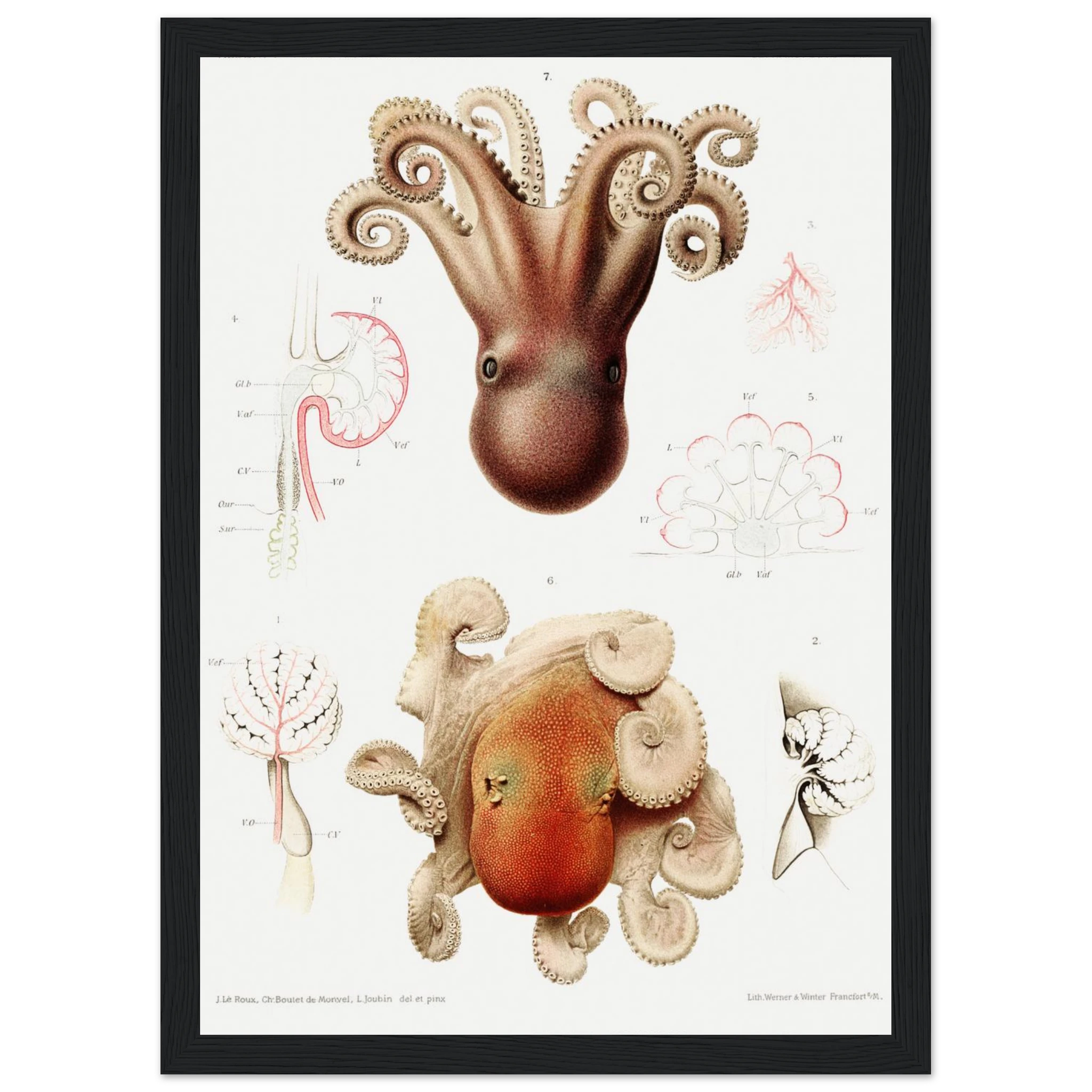 2debd871-e40d-4f54-aef2-1311cd1bbc57