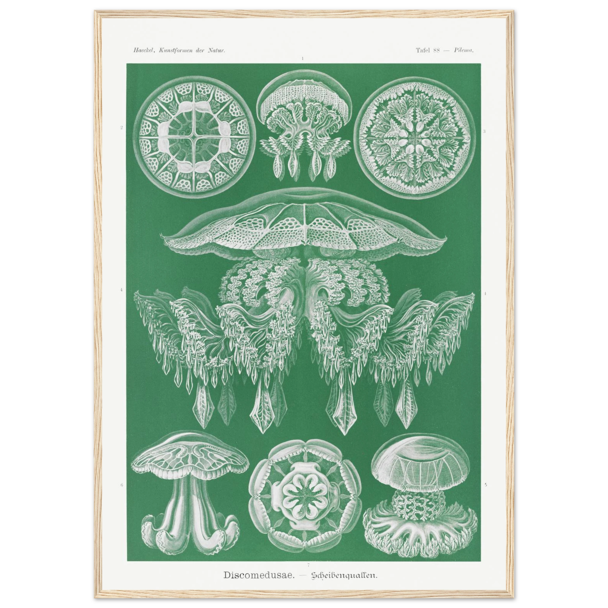 2e14c089-9b39-475c-8a0b-59998110bfc4