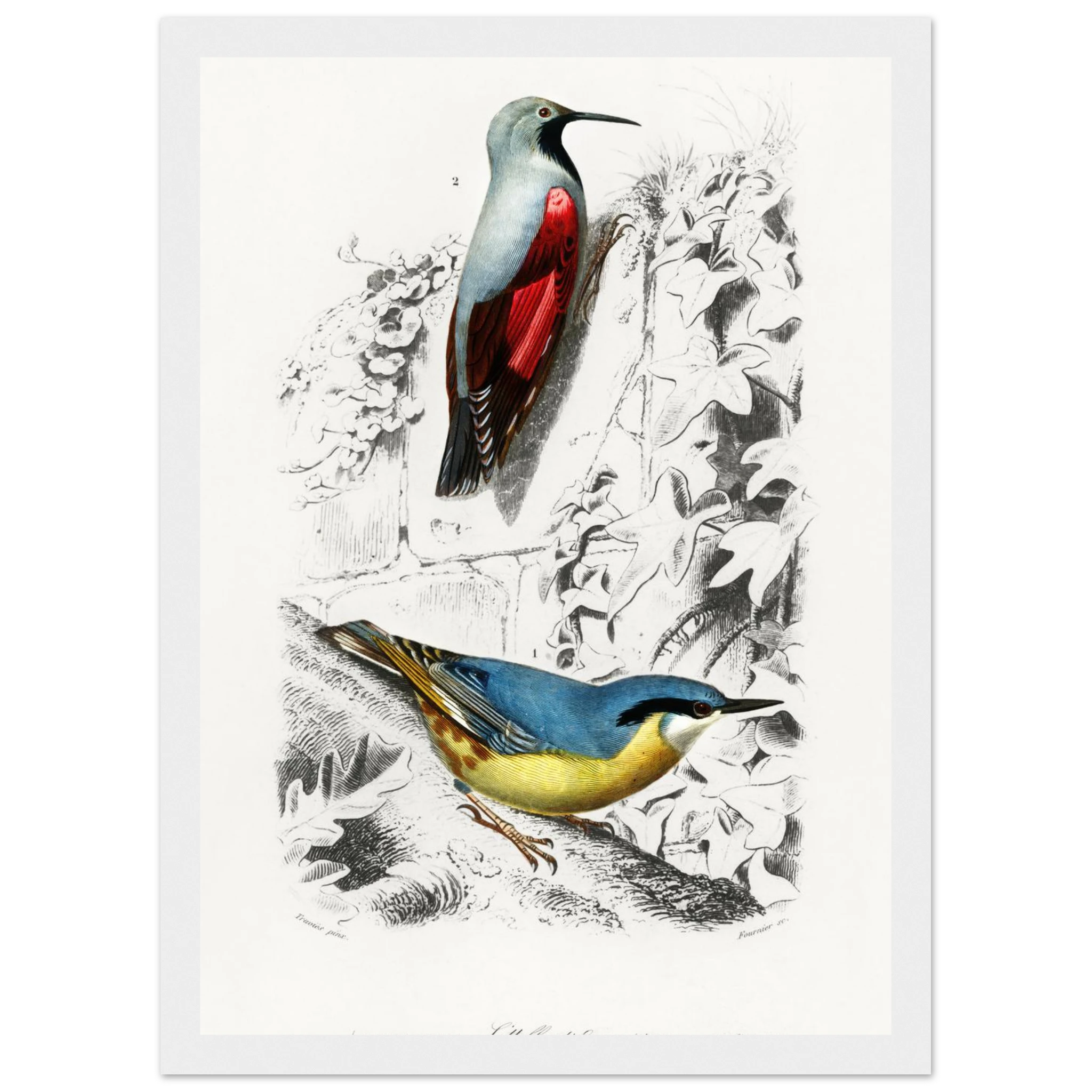 2e26d66d-75c4-4fdb-8e66-9c043f6d41b6