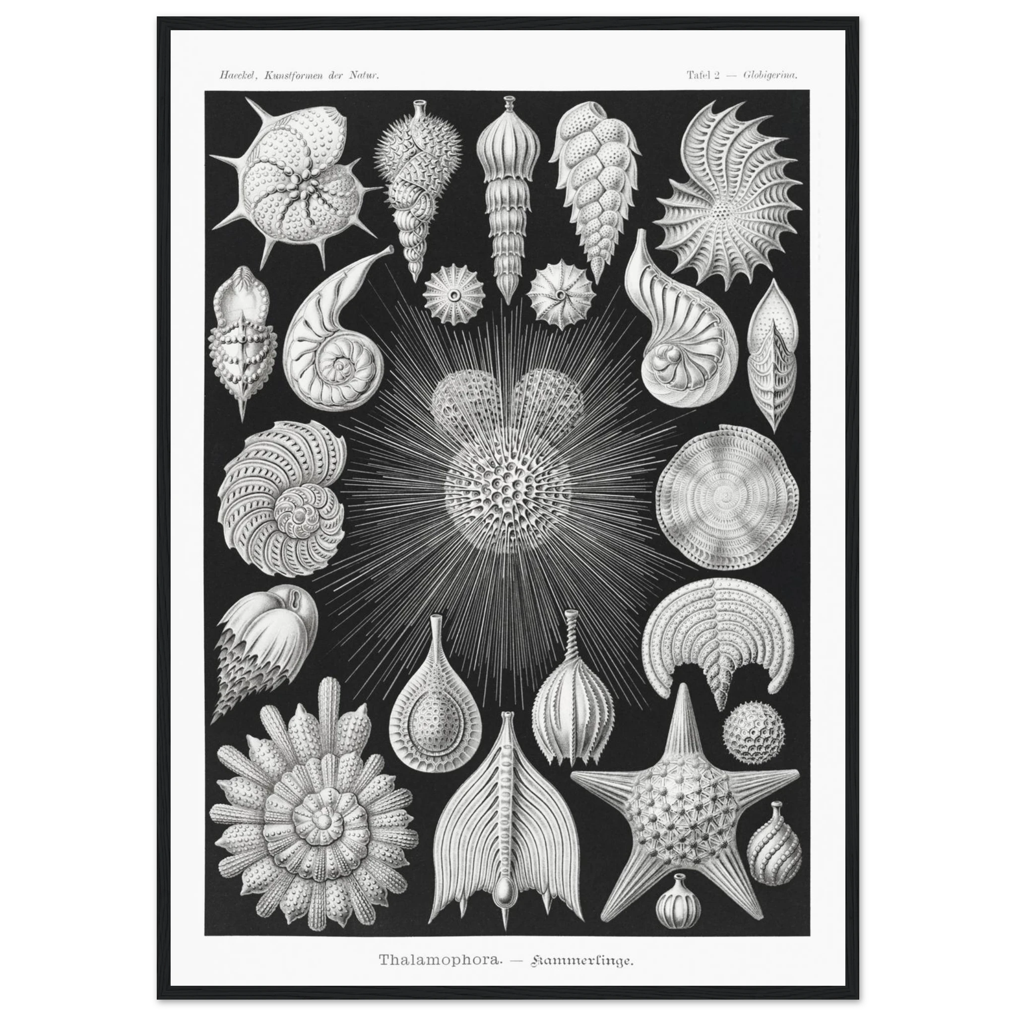 2e2a2c14-54cb-40a1-b809-a39dd4e95d4e