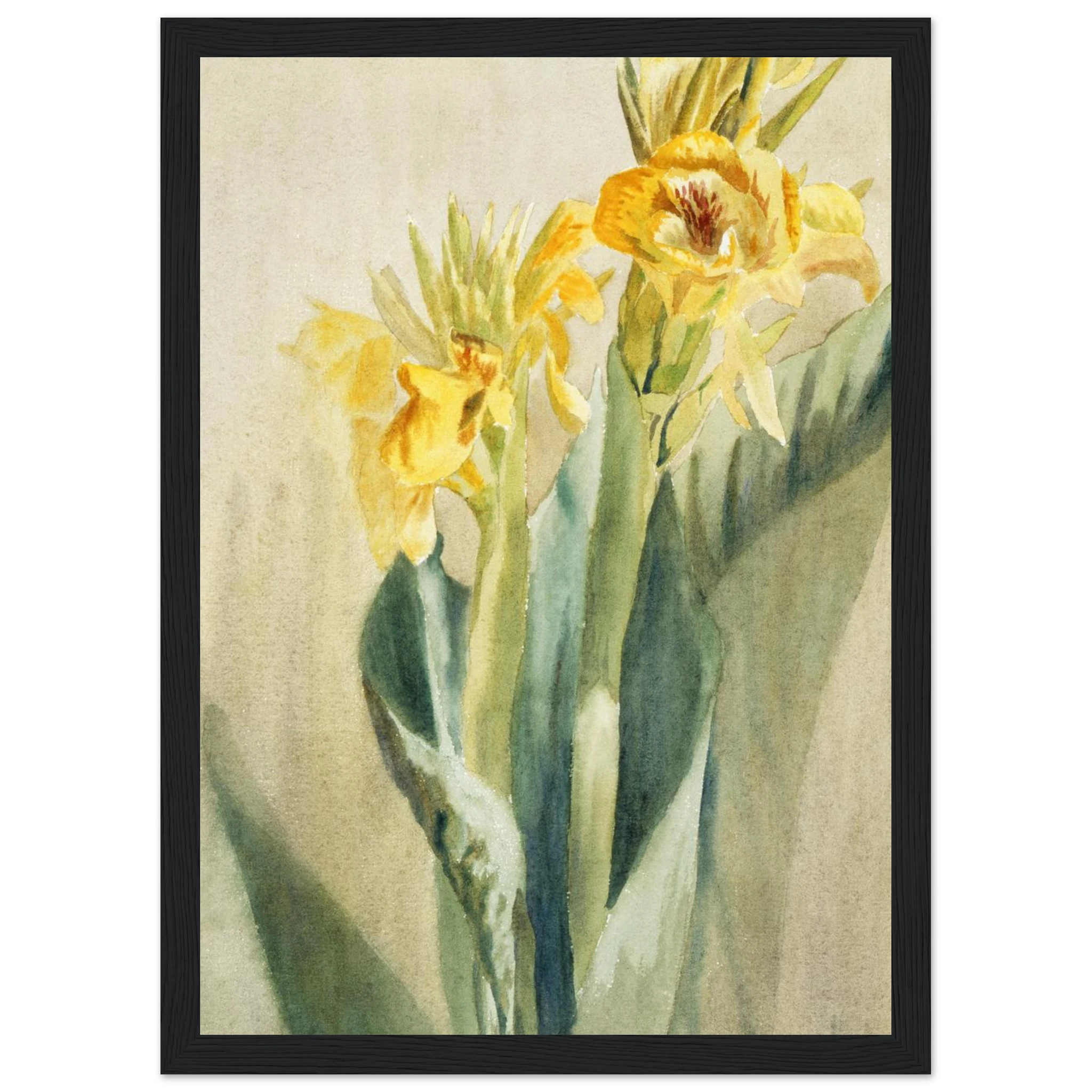 2e4ca2ea-e00c-40fd-a5aa-589e0c8056bf