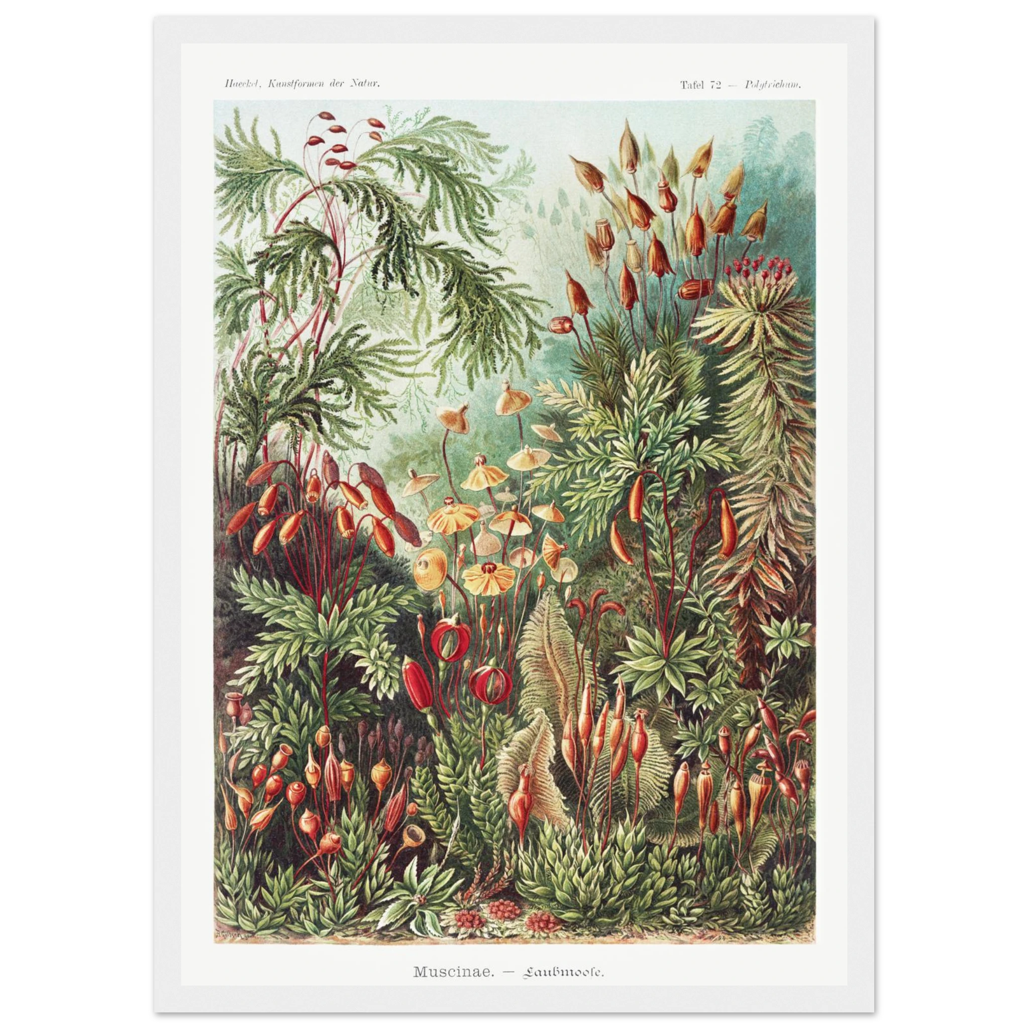 2e645222-d884-4982-869f-2d71ea0ce4d8