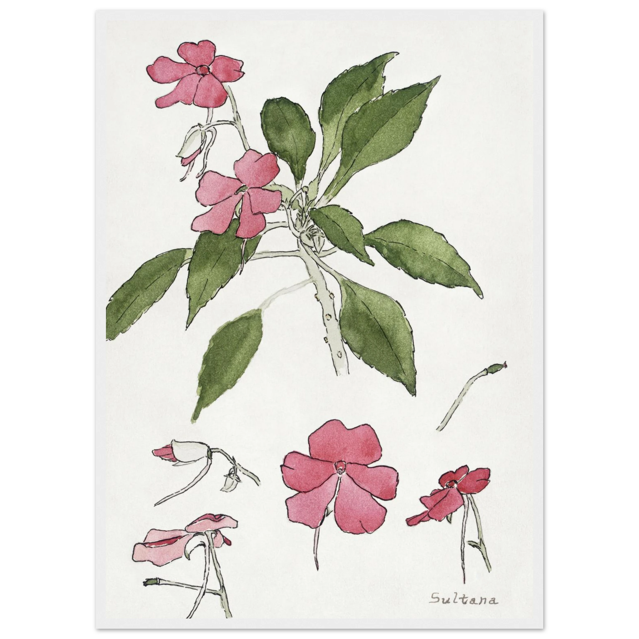 2eb935f4-8590-4995-ad28-a1f0726d491d