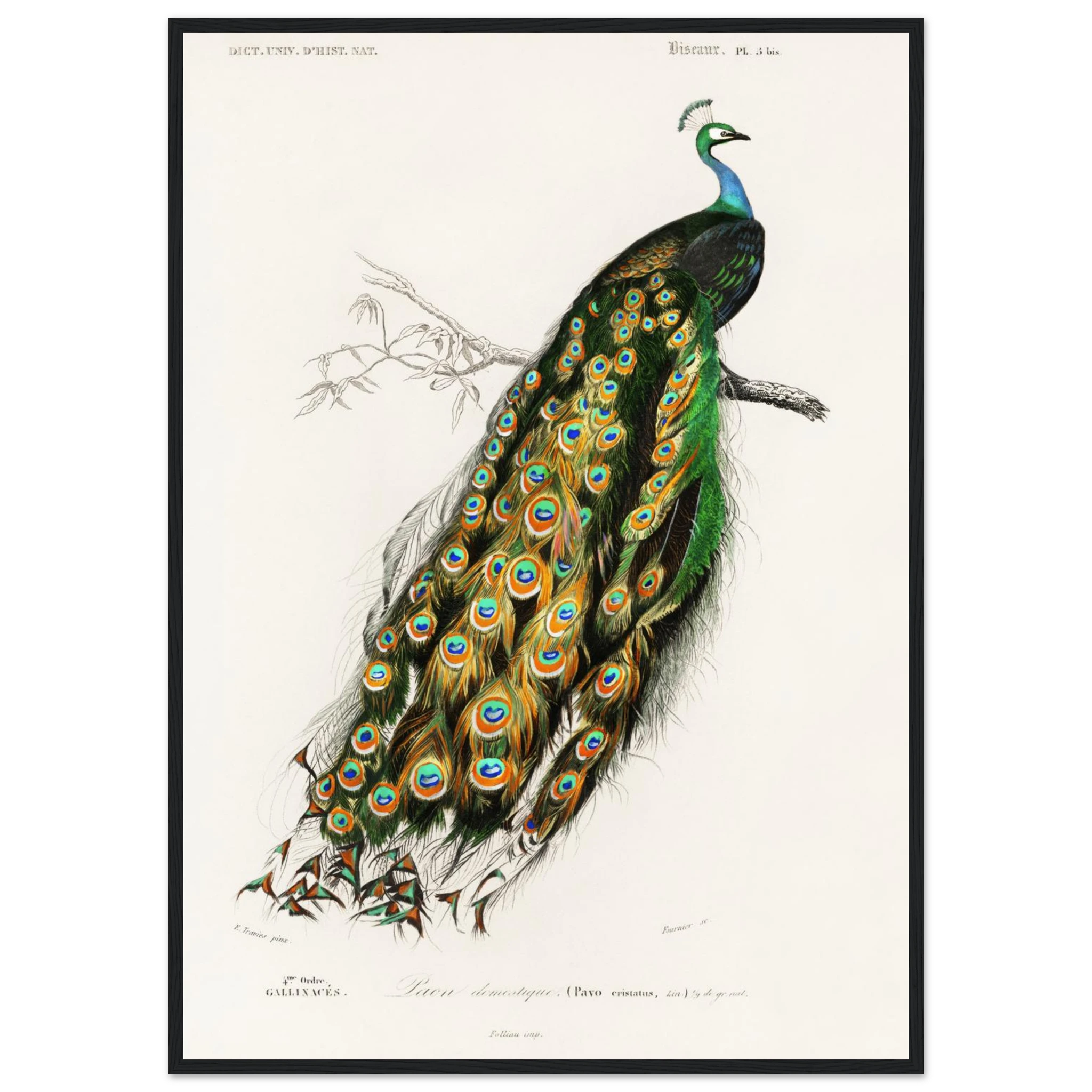 2ee12e03-851a-415f-953e-25ec1d28232f