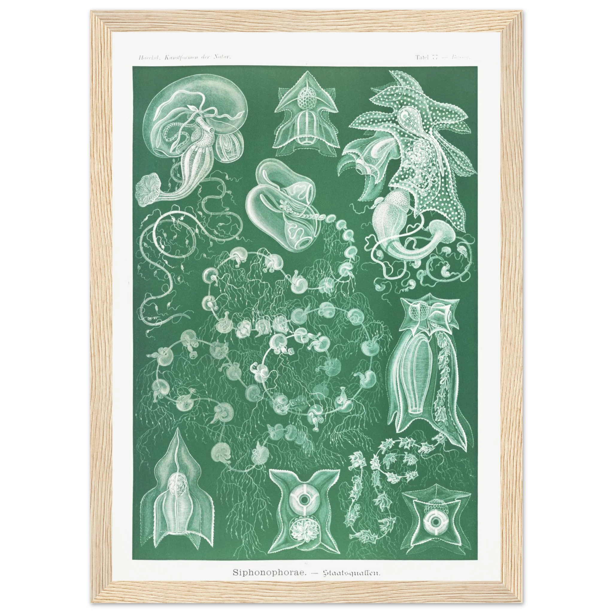 2f7daf90-1daa-41f3-85d0-04d855e94da0