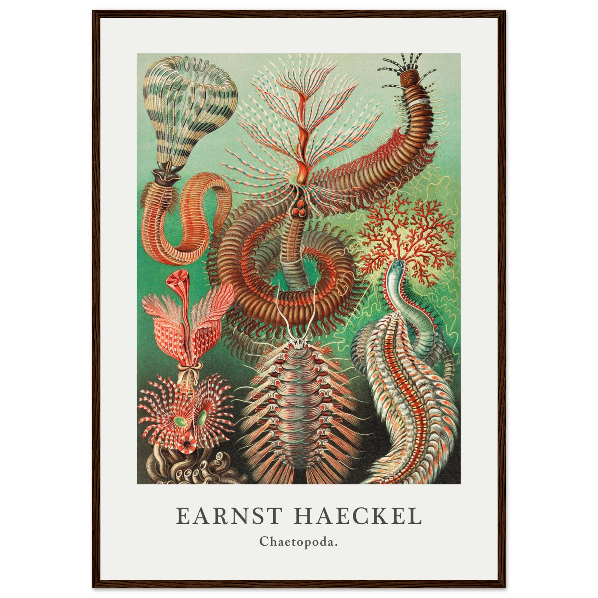 2f820451-6c8a-4a7a-8d4f-130b9ec957b8