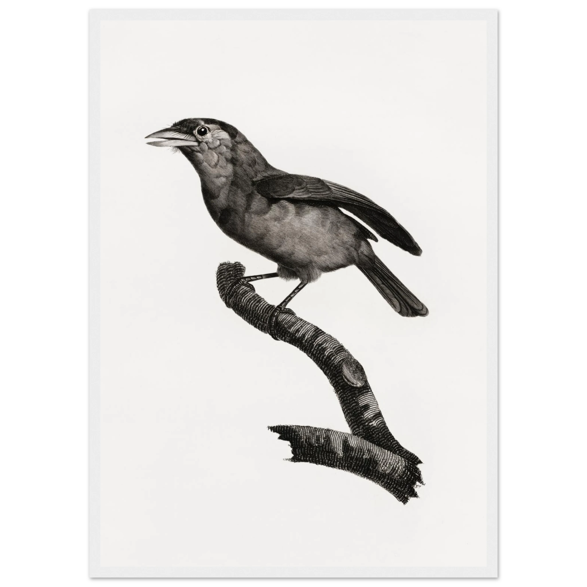 2f873d8d-dce0-4f08-a7a8-7df77ff36f55