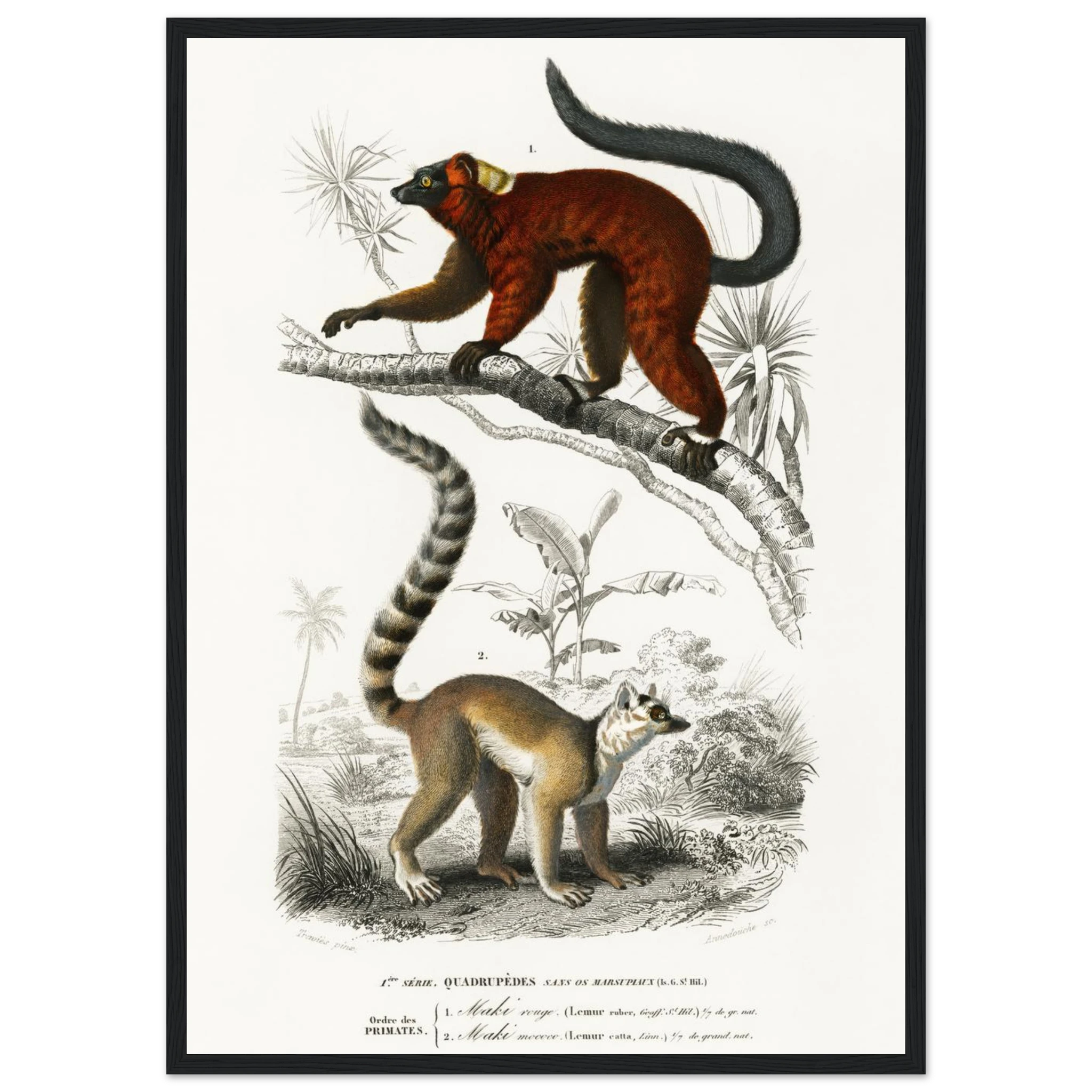 301c4657-a2ae-41e0-aa64-ad4e7f81b21c