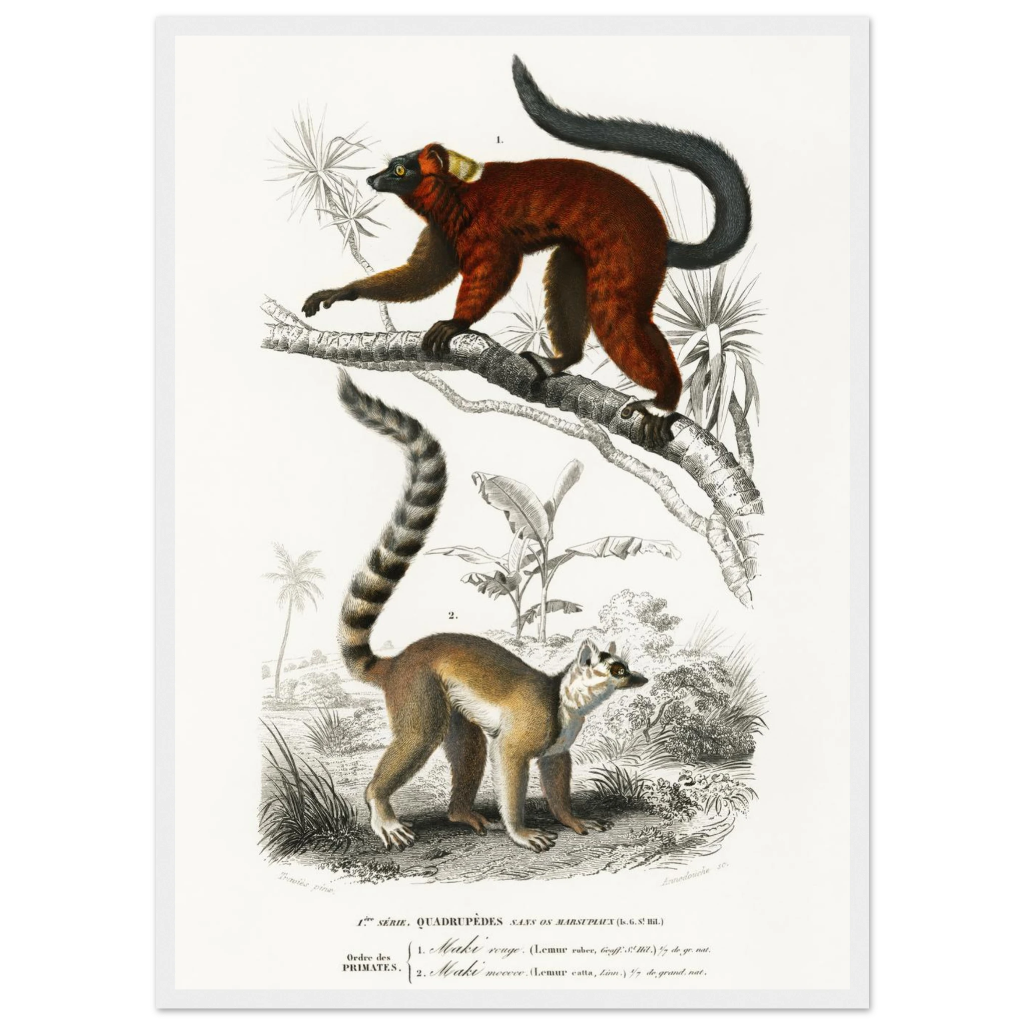 307e5930-6a18-4655-8221-e572d8f13328