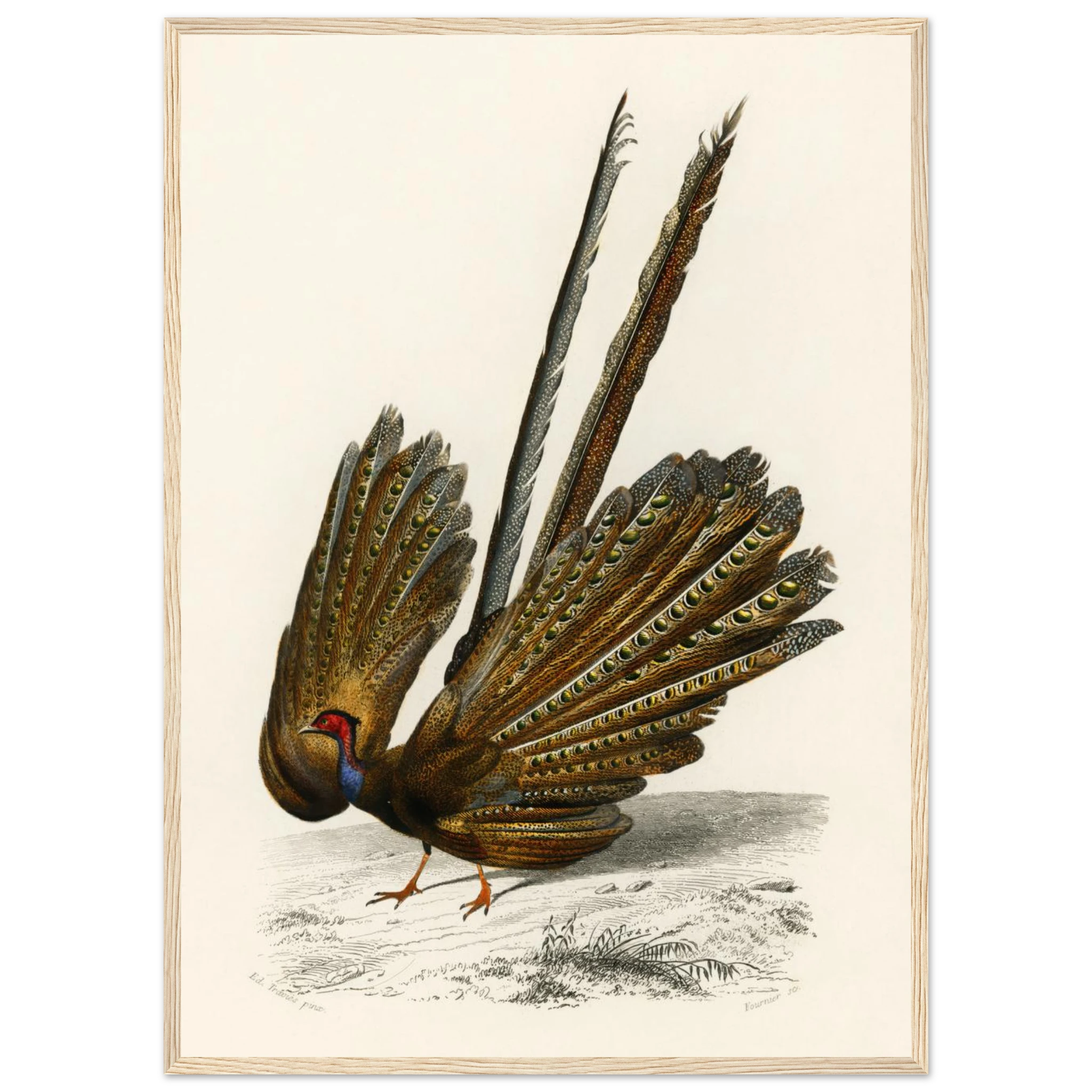 31315db1-c7d1-4037-b162-6ef659249249