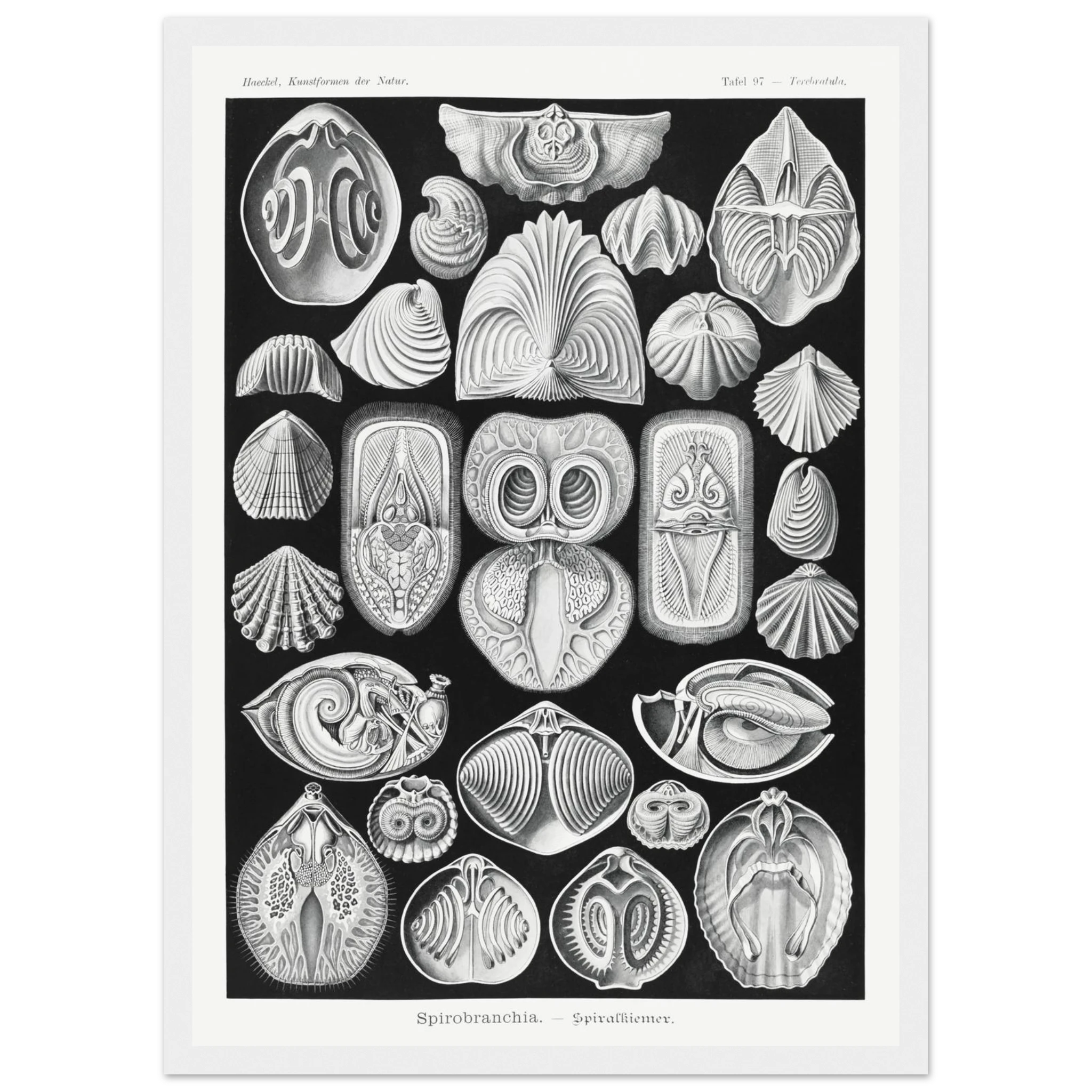 3164b871-46bc-4de7-8660-e3073f4fc061