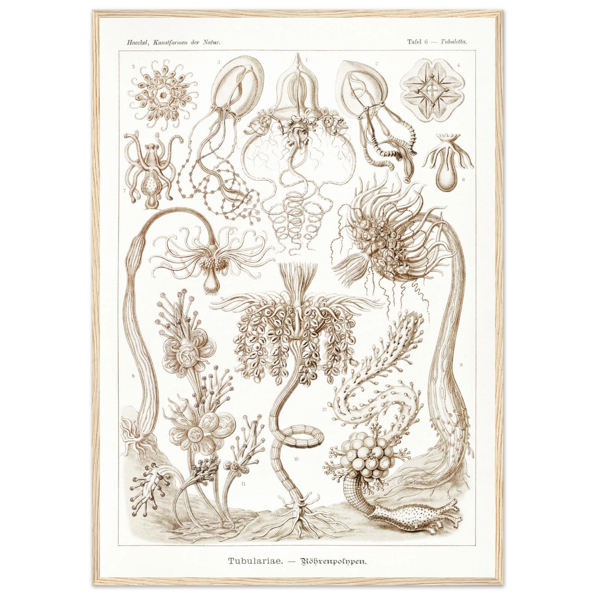 31719375-2685-464c-ae57-97d438d467e2