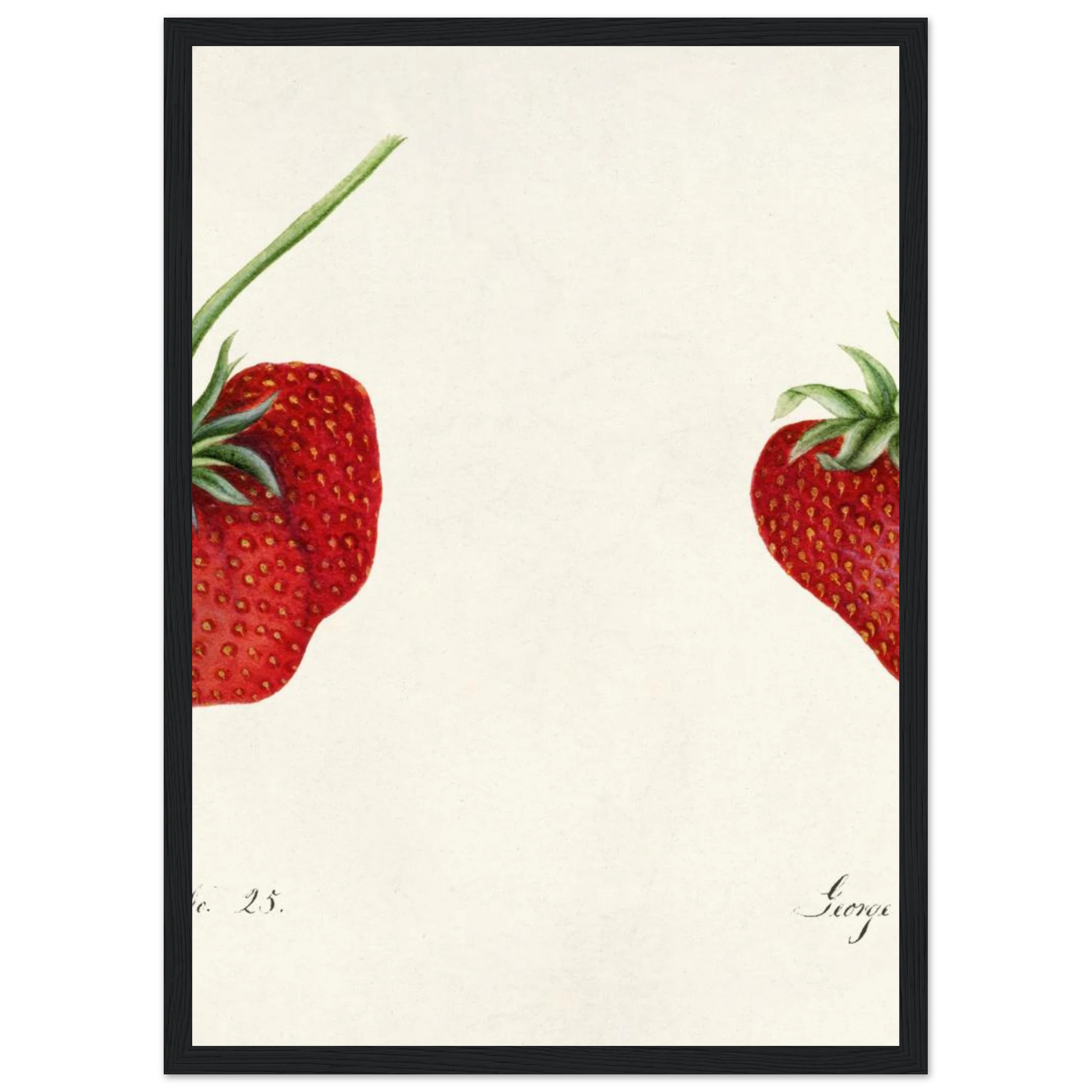 31b9c794-81e1-4ca0-b567-e3374c329ac6