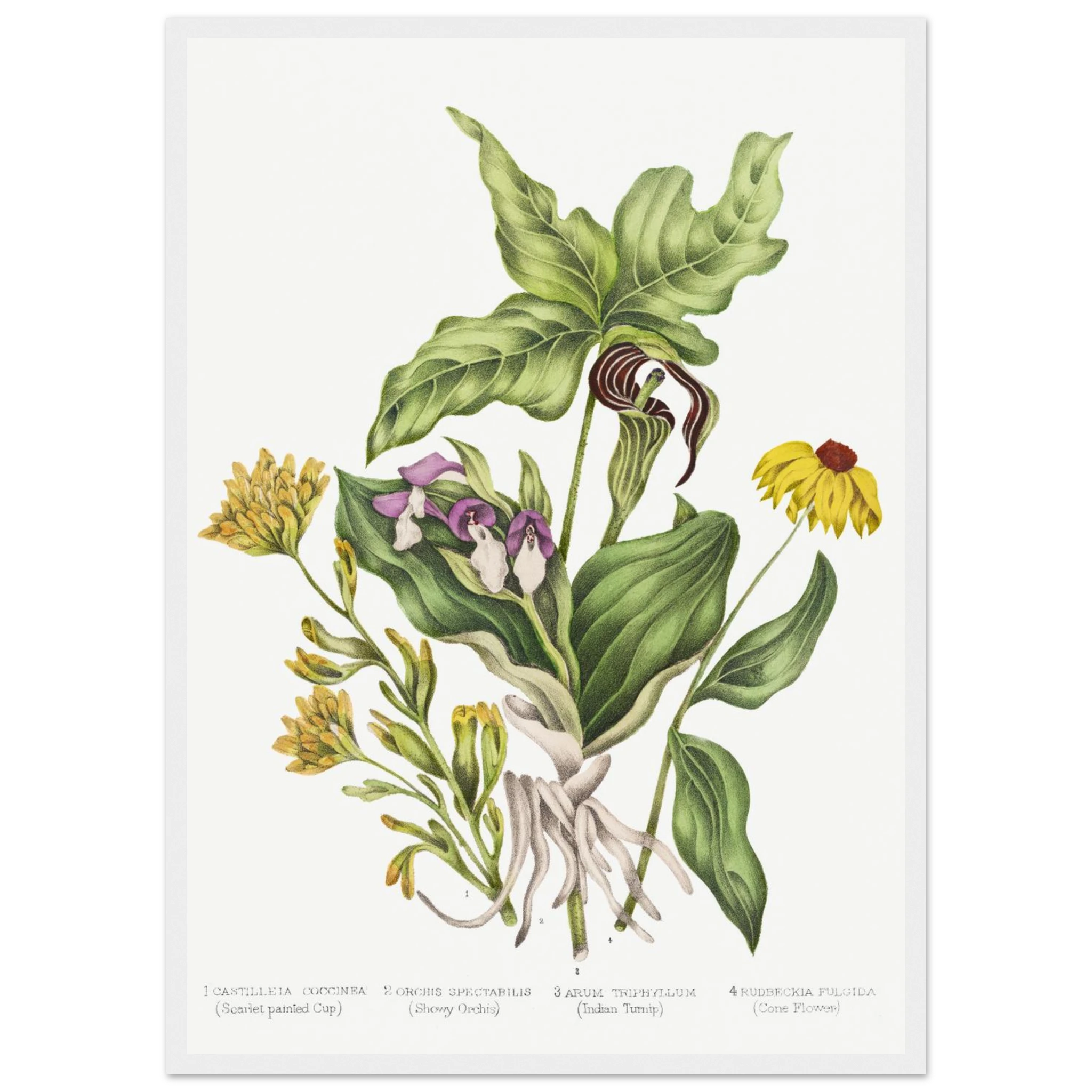 31de6494-ac21-4260-876f-34c0dbf3a0eb