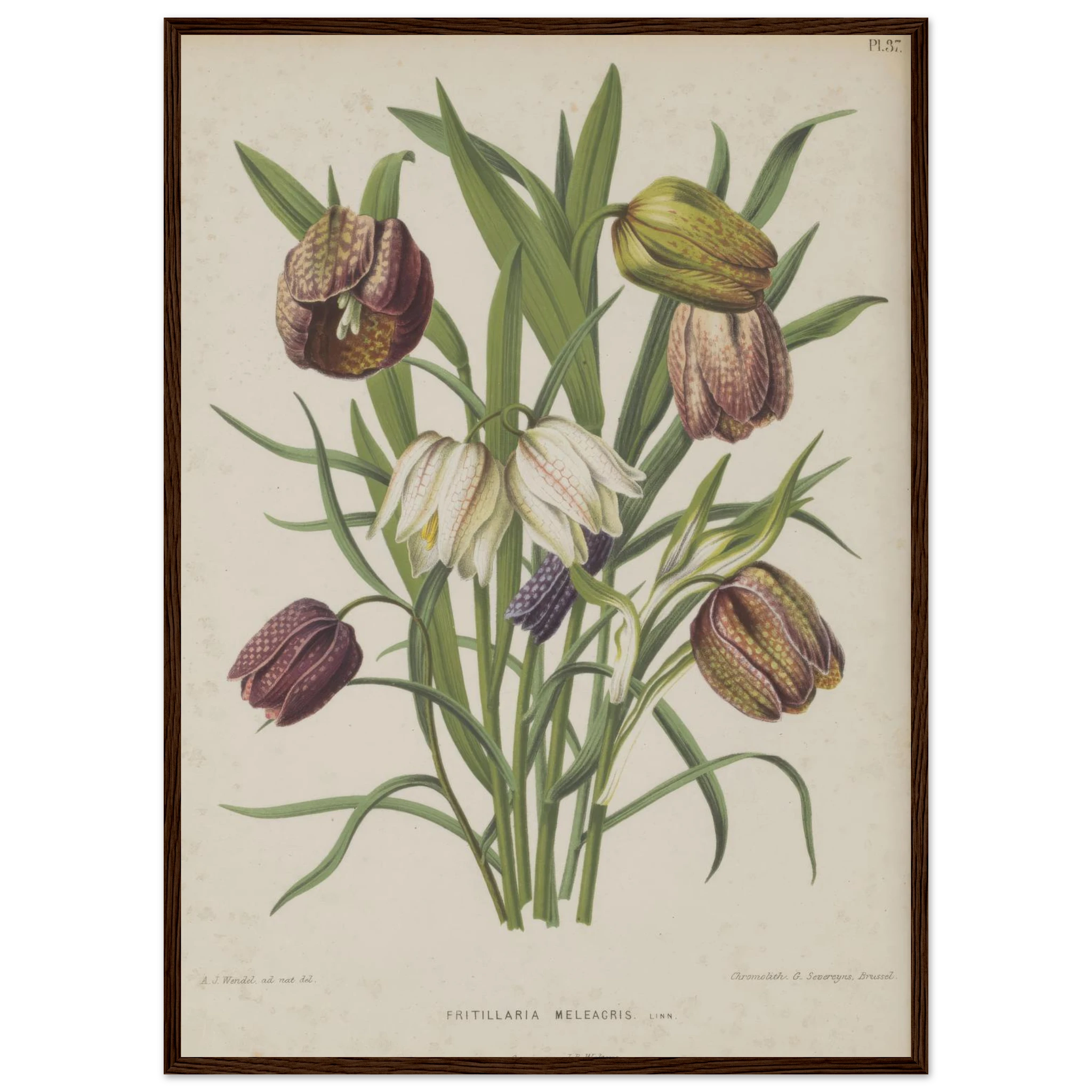 31ea6eb4-0232-4fde-88f0-ca5004a32f49