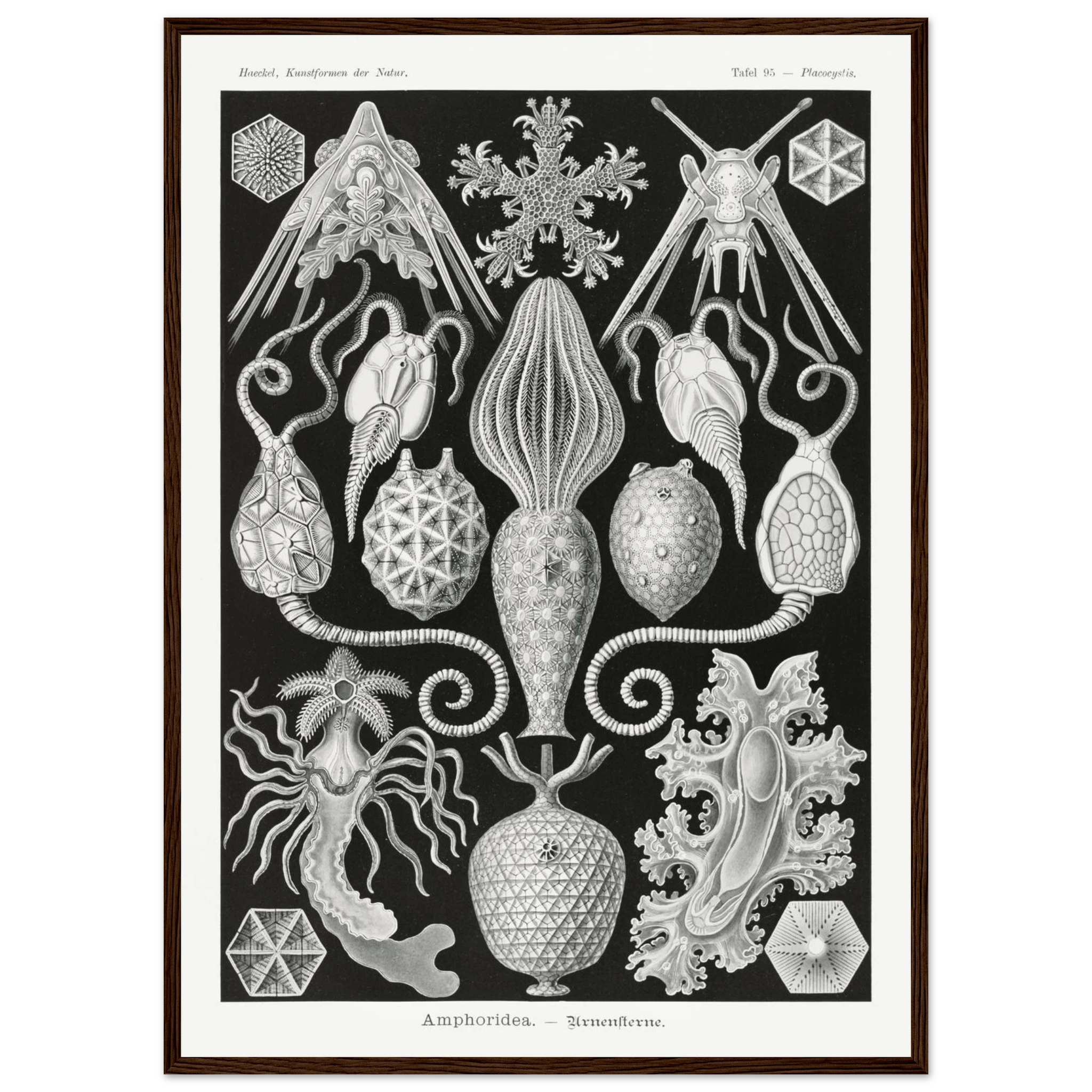 327e4ae3-38ab-4609-9ae2-372898c42c1e