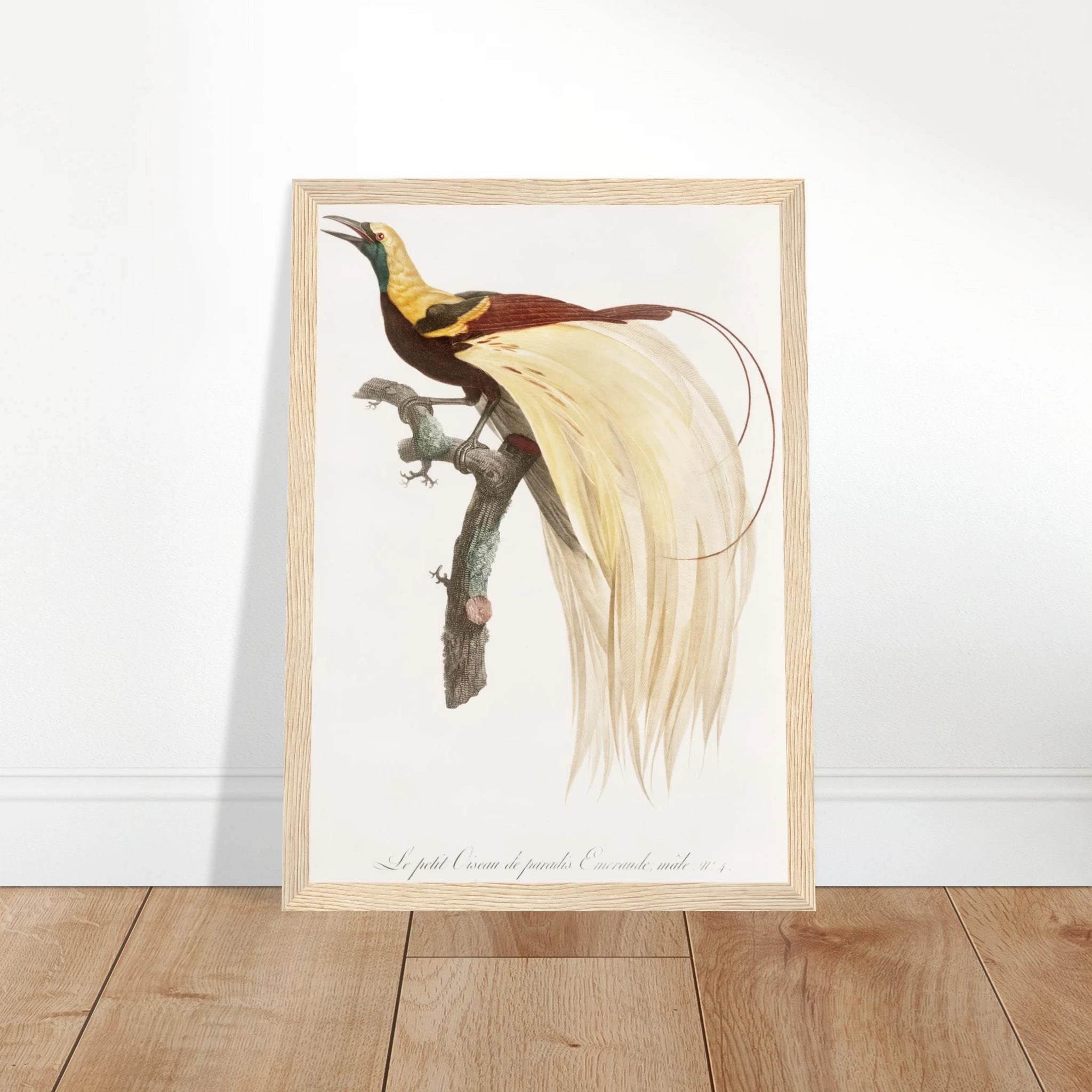 32859fb6-85d5-4725-8497-41d21b9cd63c