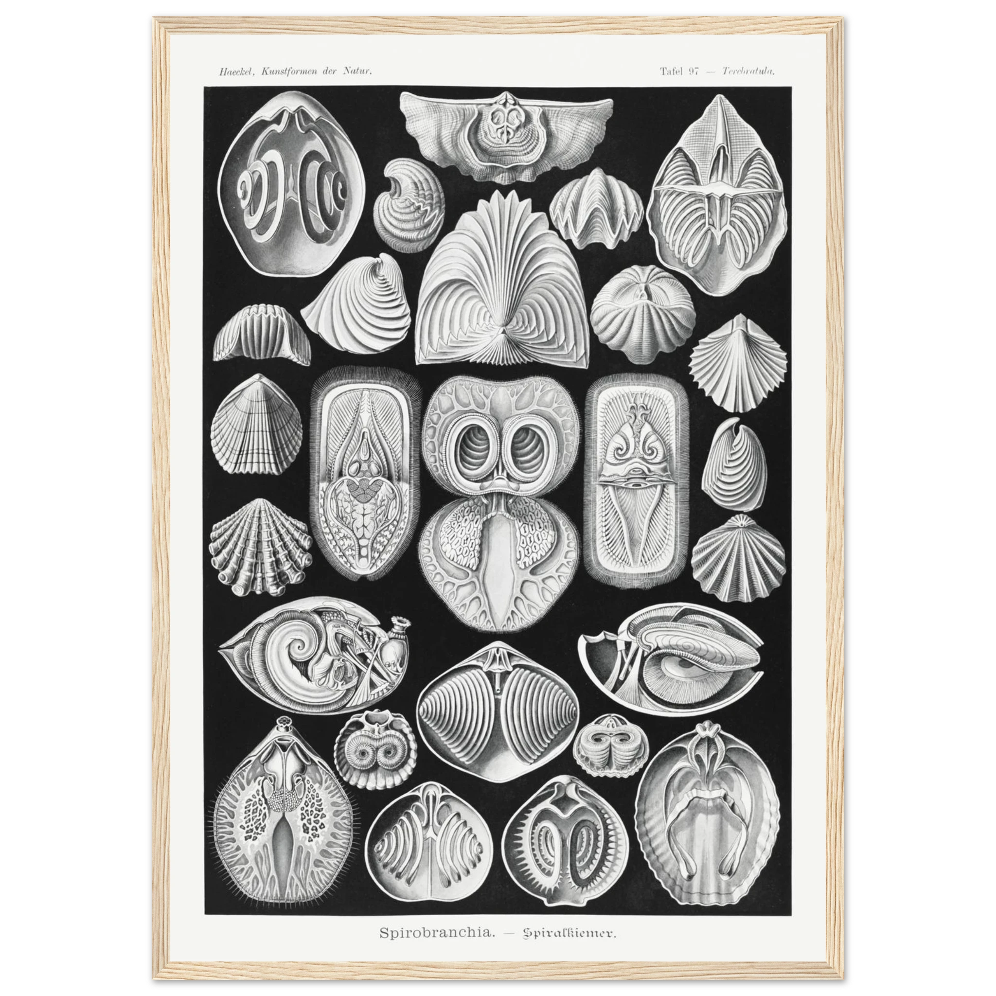 32988e4b-48de-4d78-85c1-d3de8159eac8