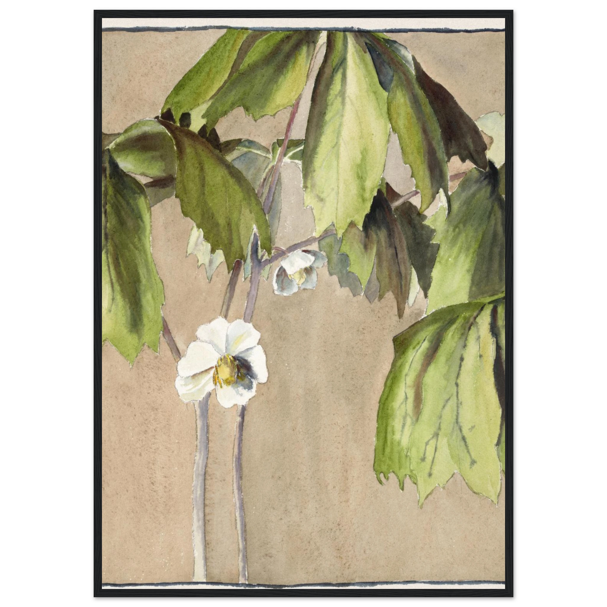 32e99054-3d8d-48d2-b1b6-6d6b0d08b59b