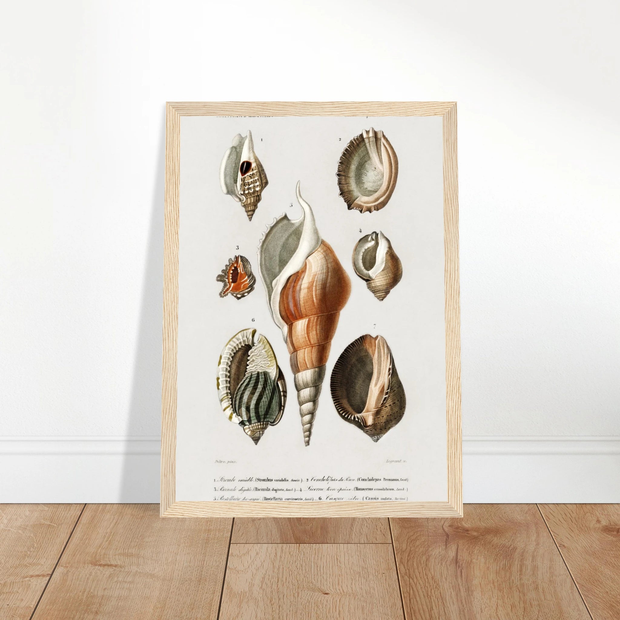 3369b9e3-3cdc-4b58-890d-2955c8672a81