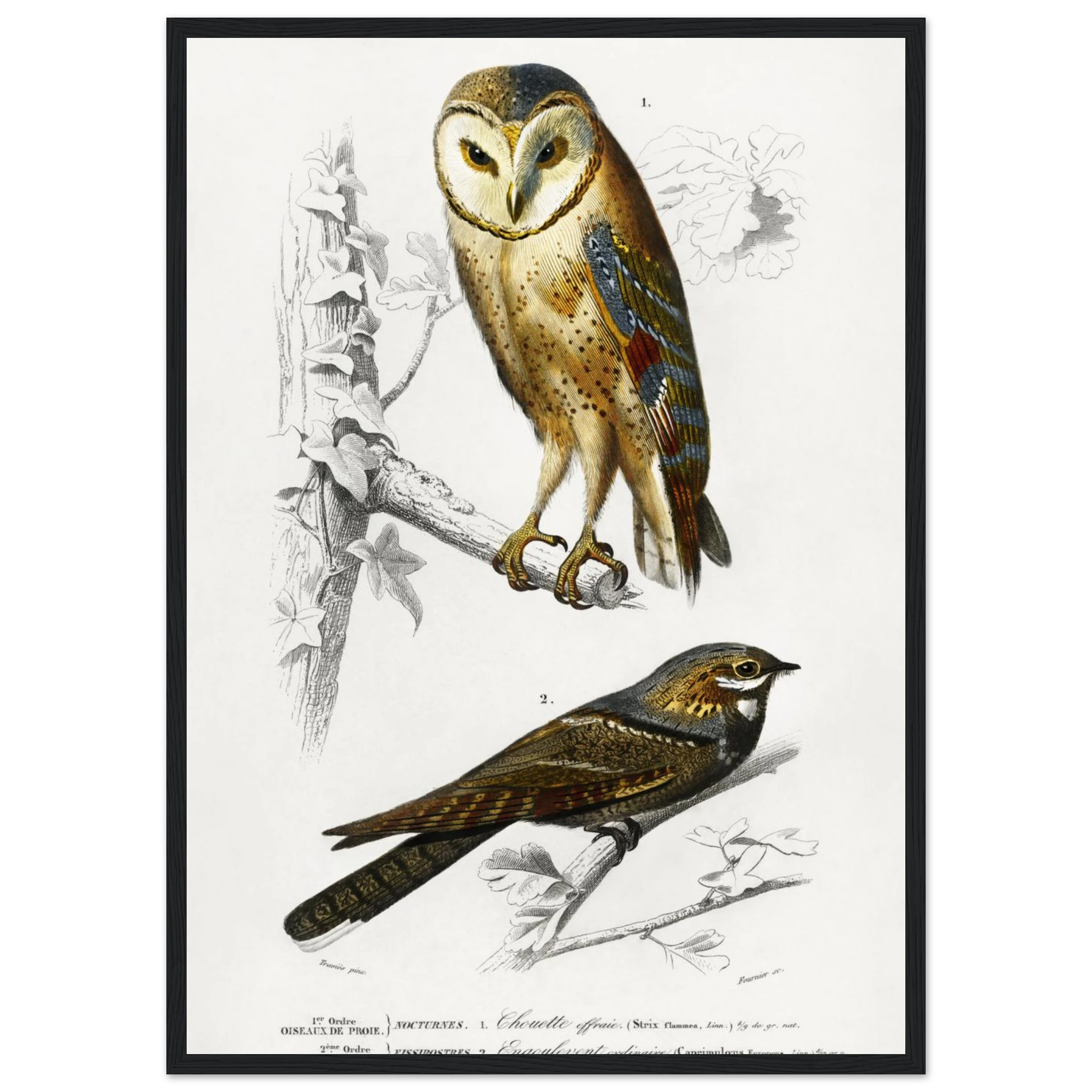 3388c3b5-1d79-40aa-aadb-40783b67f46b