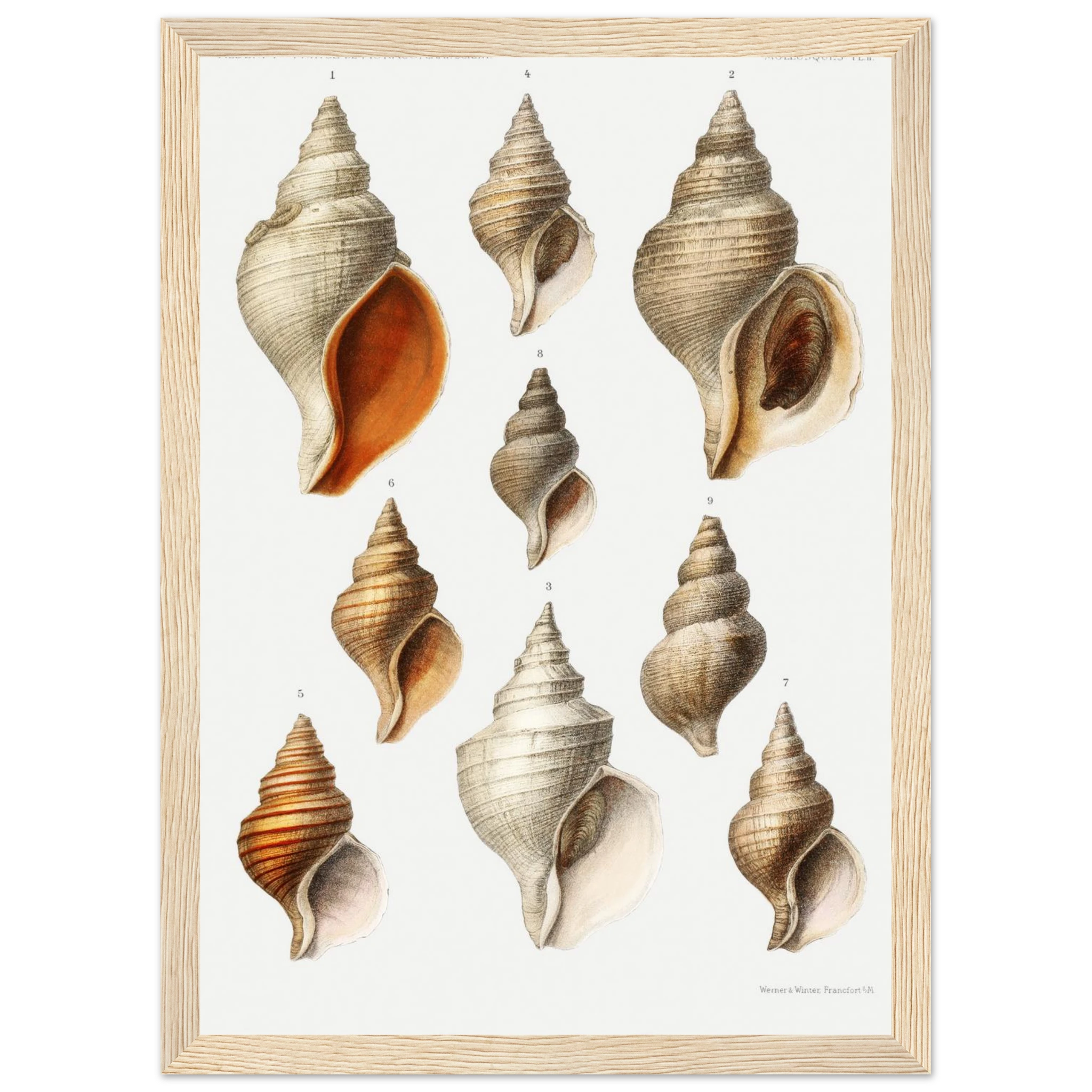 33d2fb2c-d16f-49de-8d38-1445d55d1f16