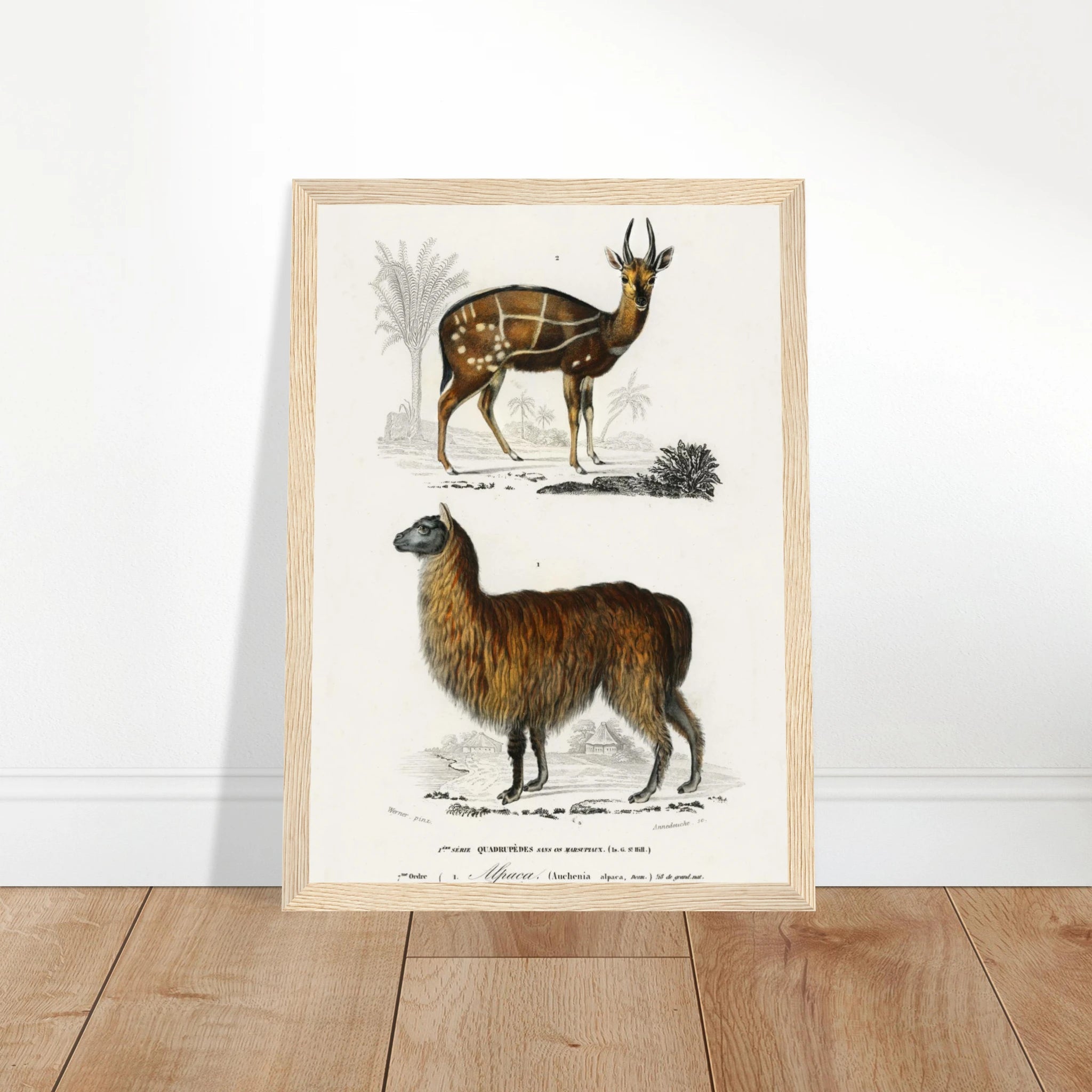 33e69b57-c398-495f-b17c-ab4a5a7db5ee