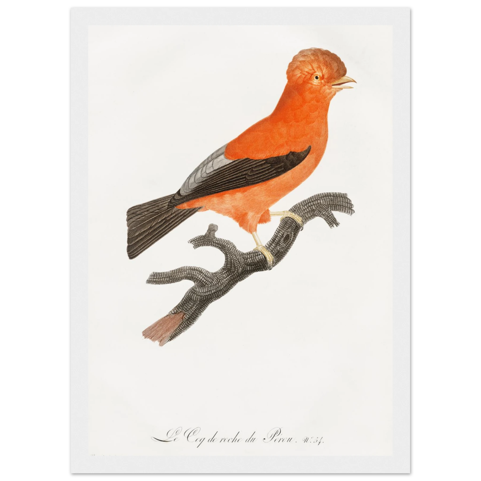 33eddb32-6eaa-49a9-814d-fa3f78543830