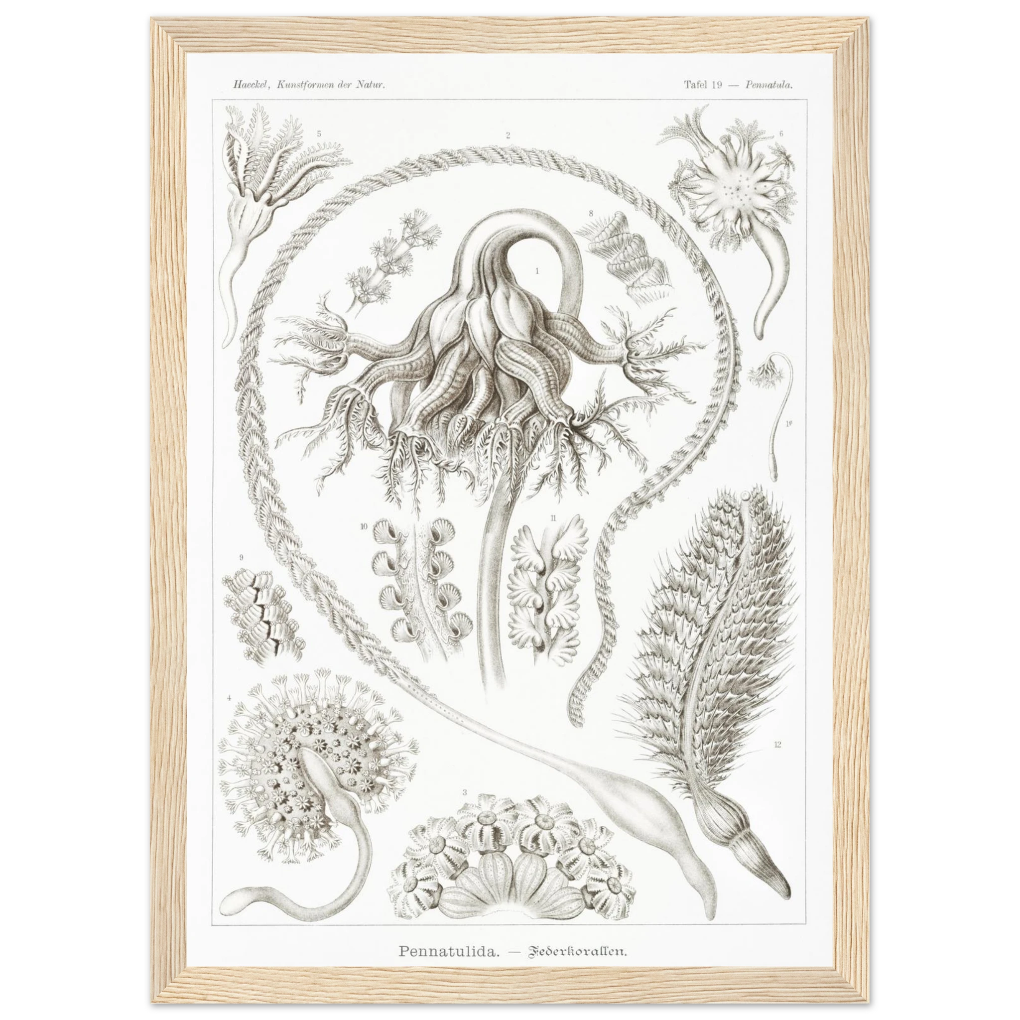 34075402-297e-4656-b8c8-7fa41bb831cd