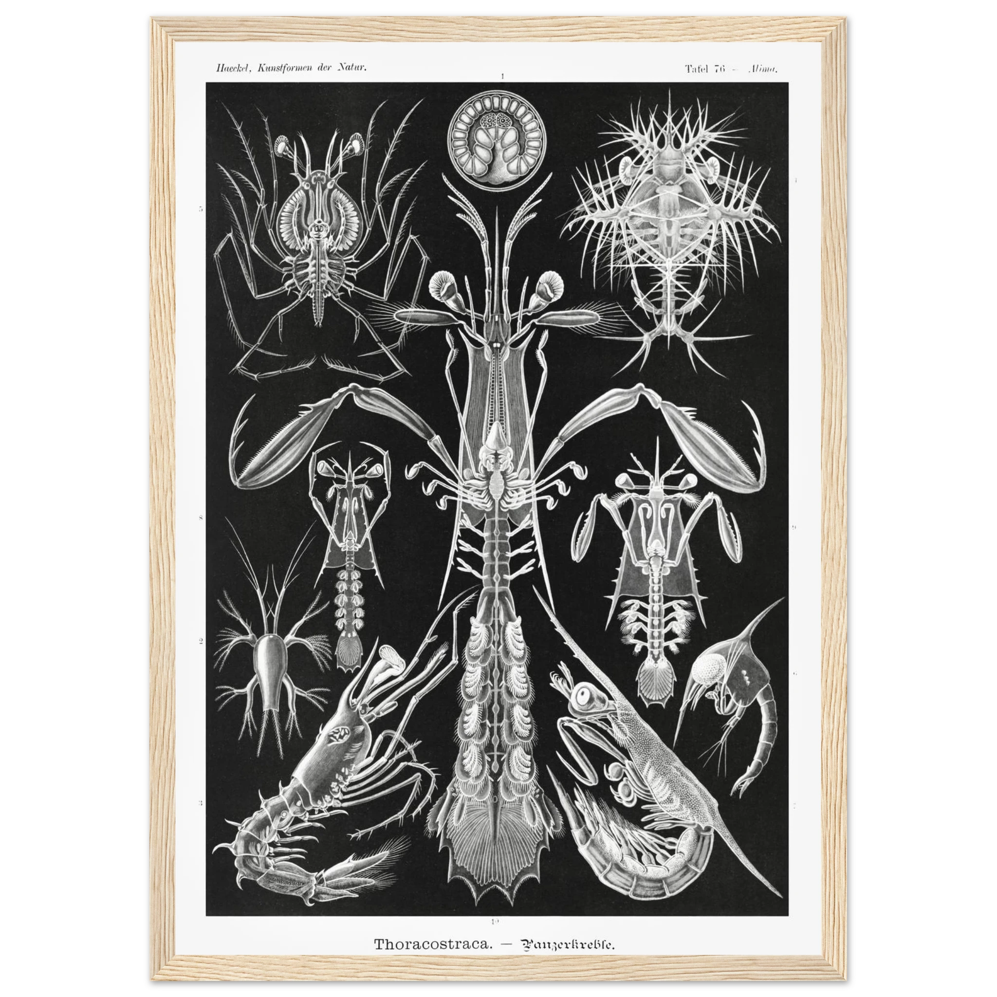 343f4173-a35d-425e-b52f-9404ba5358d8