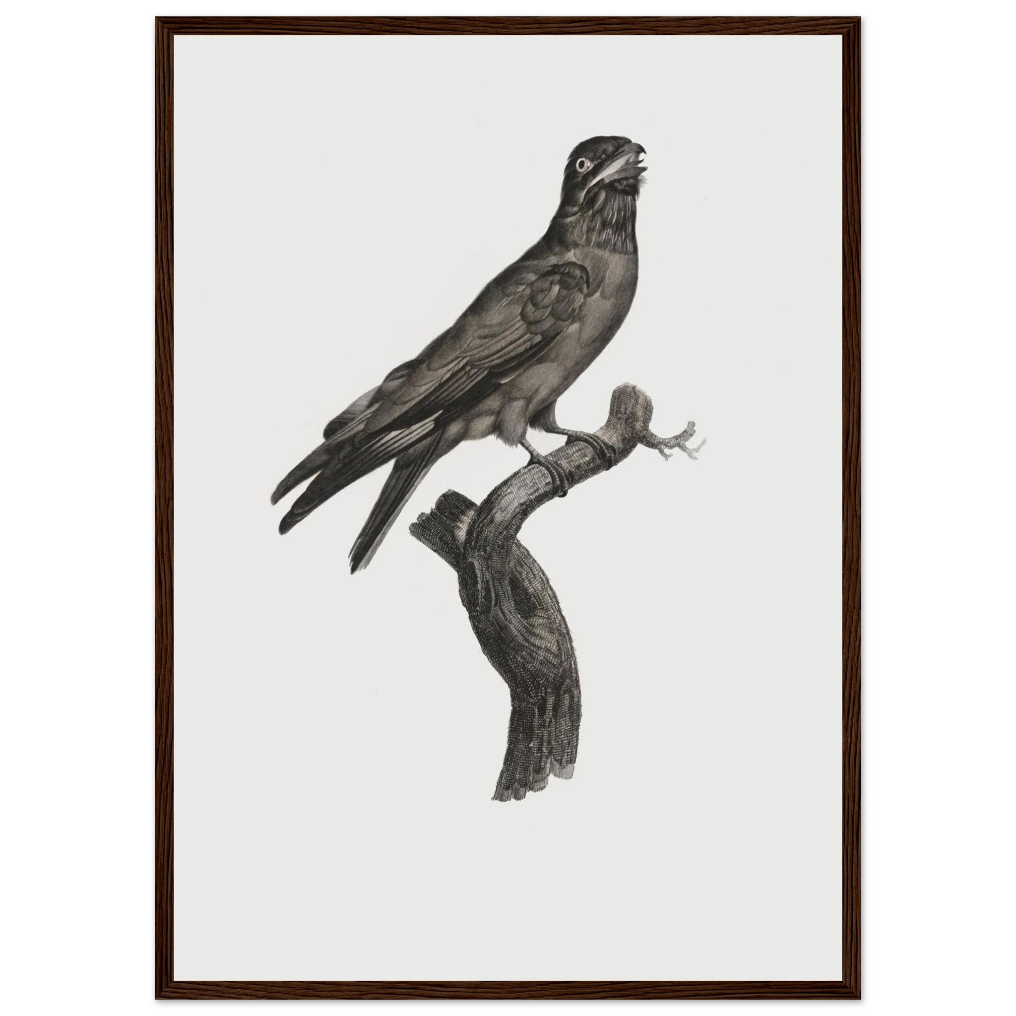 345065bd-3aac-4ed9-a069-a5c9f6523ef9