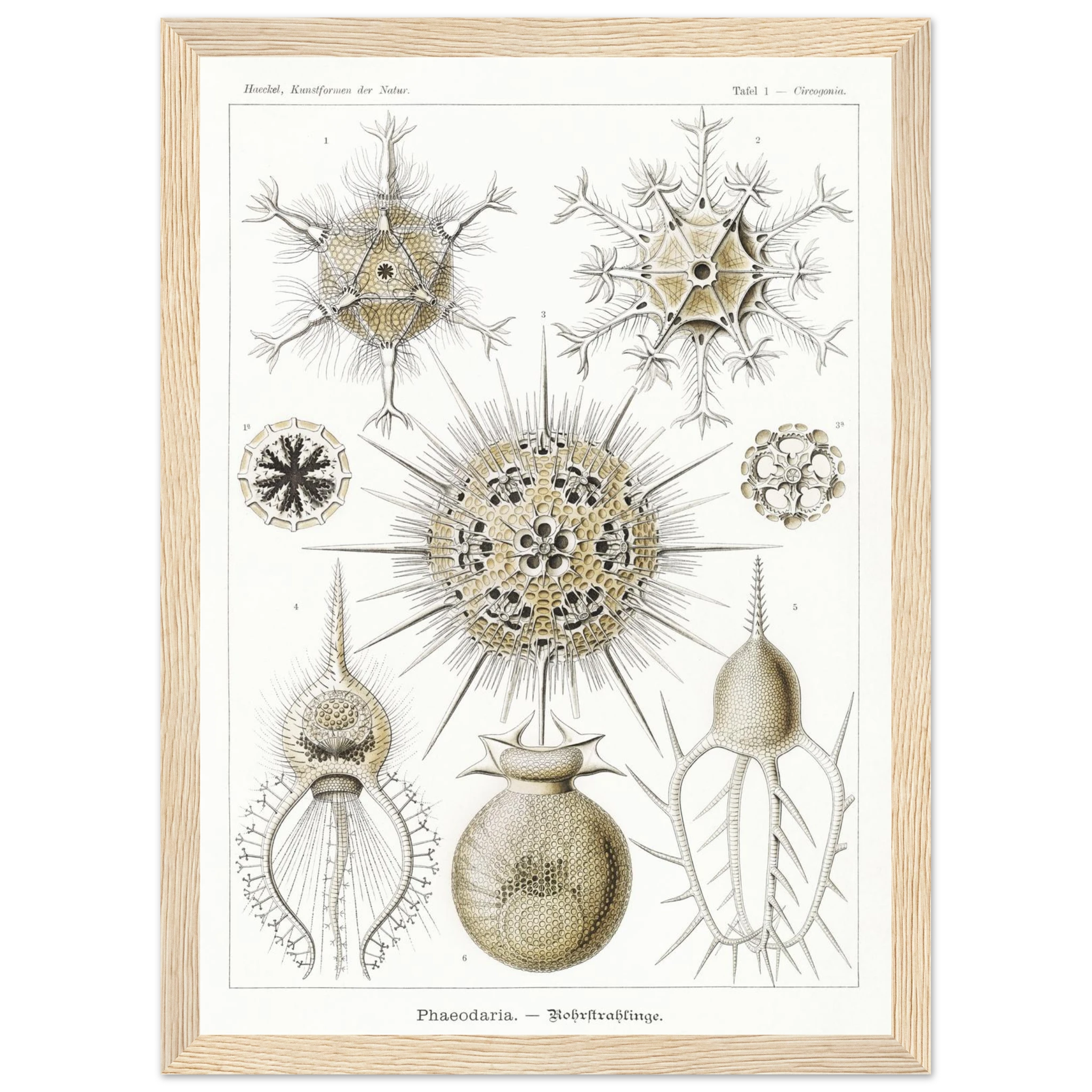 3479a829-ecb2-4bcb-b1e5-74462de3c599