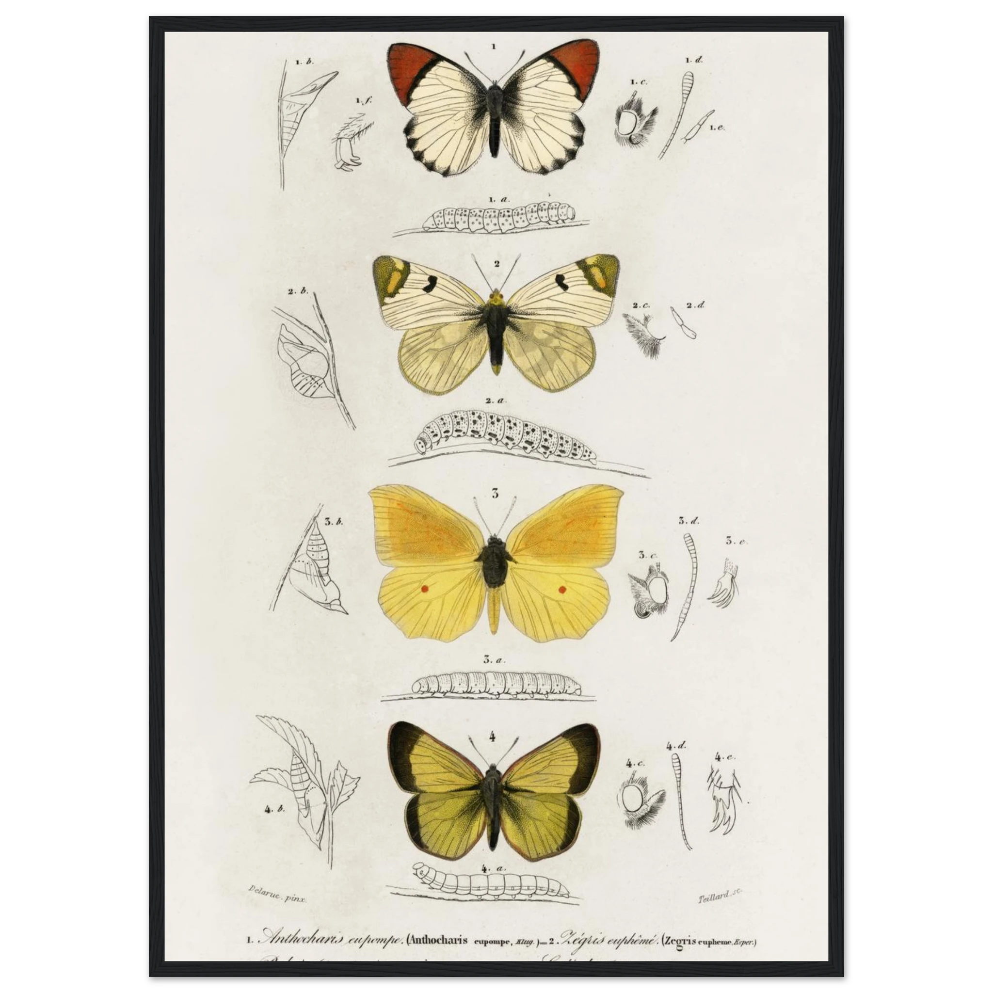 34cab5e9-1c79-4835-a0df-f87ddb829009