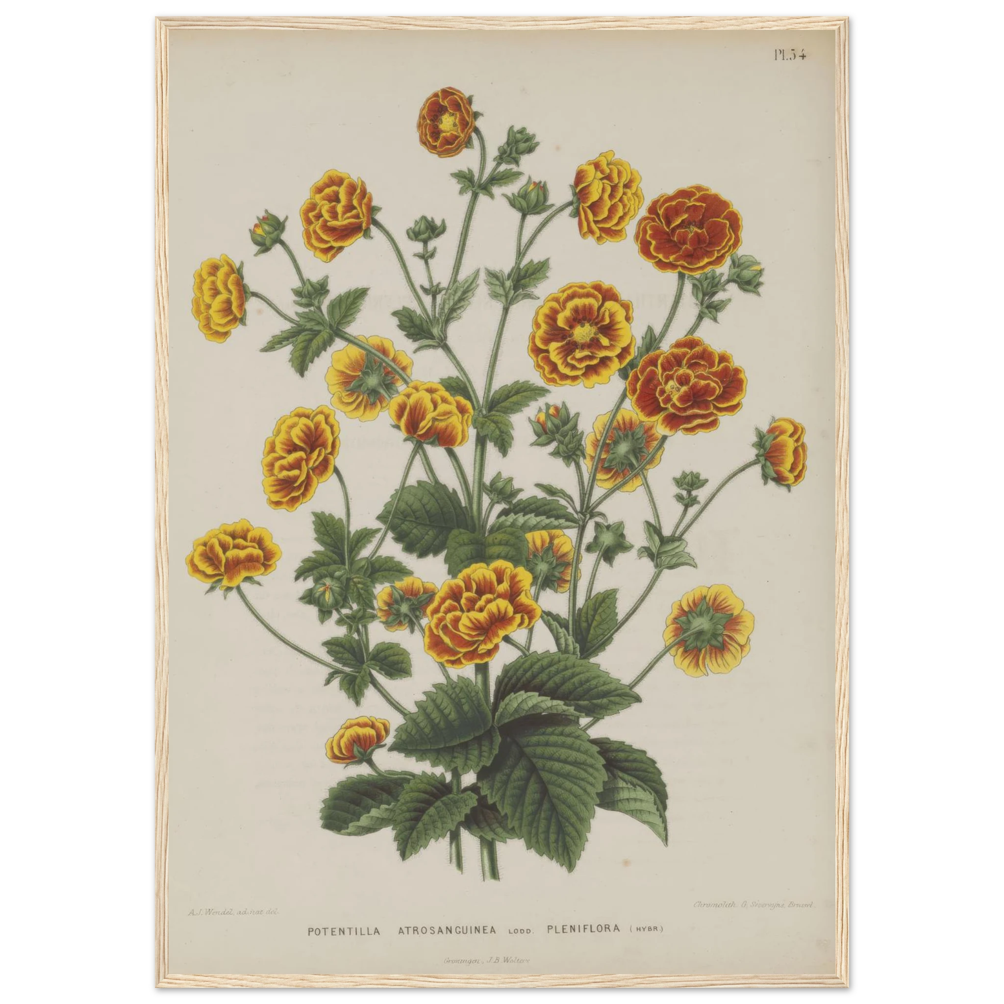 34de4bf7-8613-4800-9196-db3143c4b95f