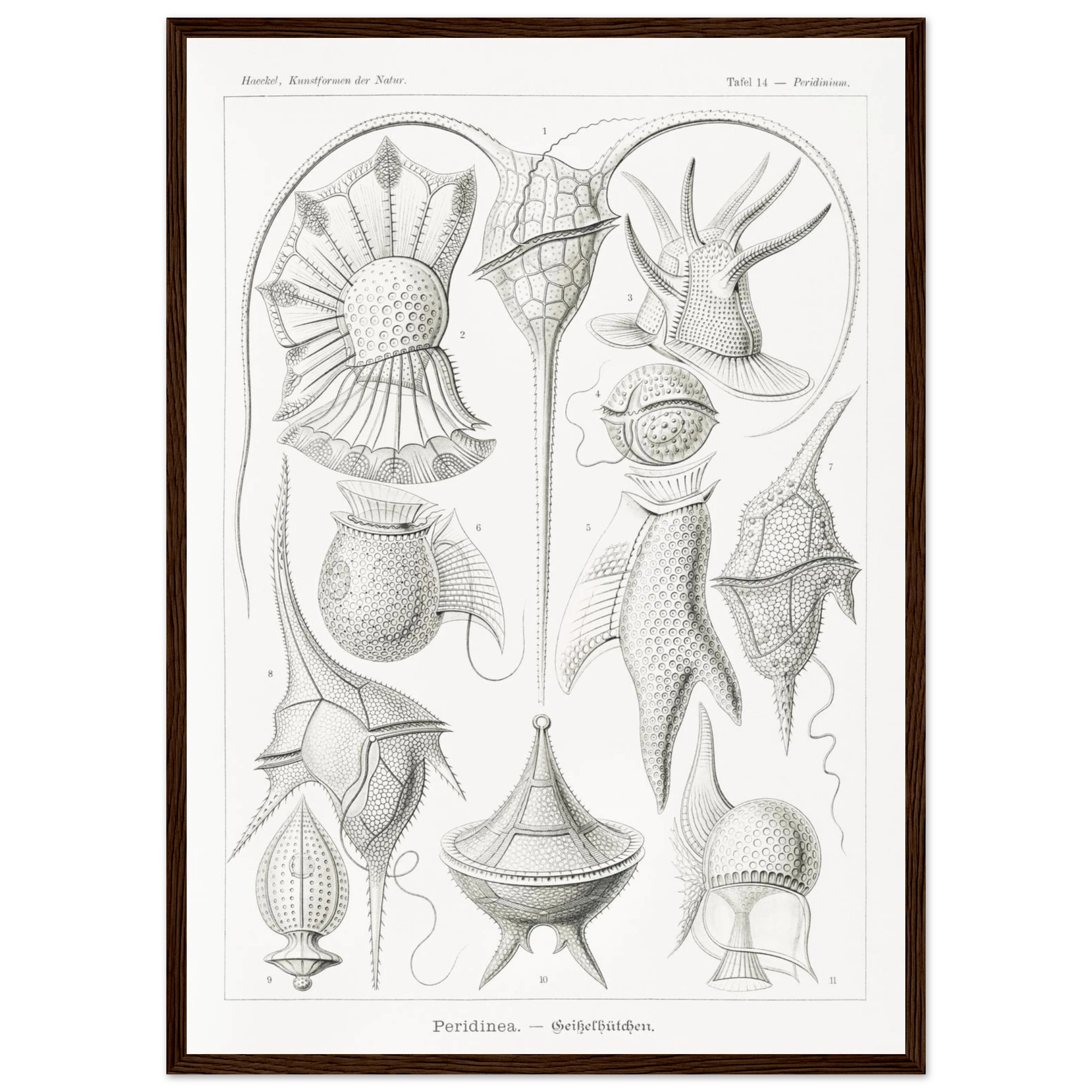 34ead5b2-83d7-491a-98f0-c3cc3a058094