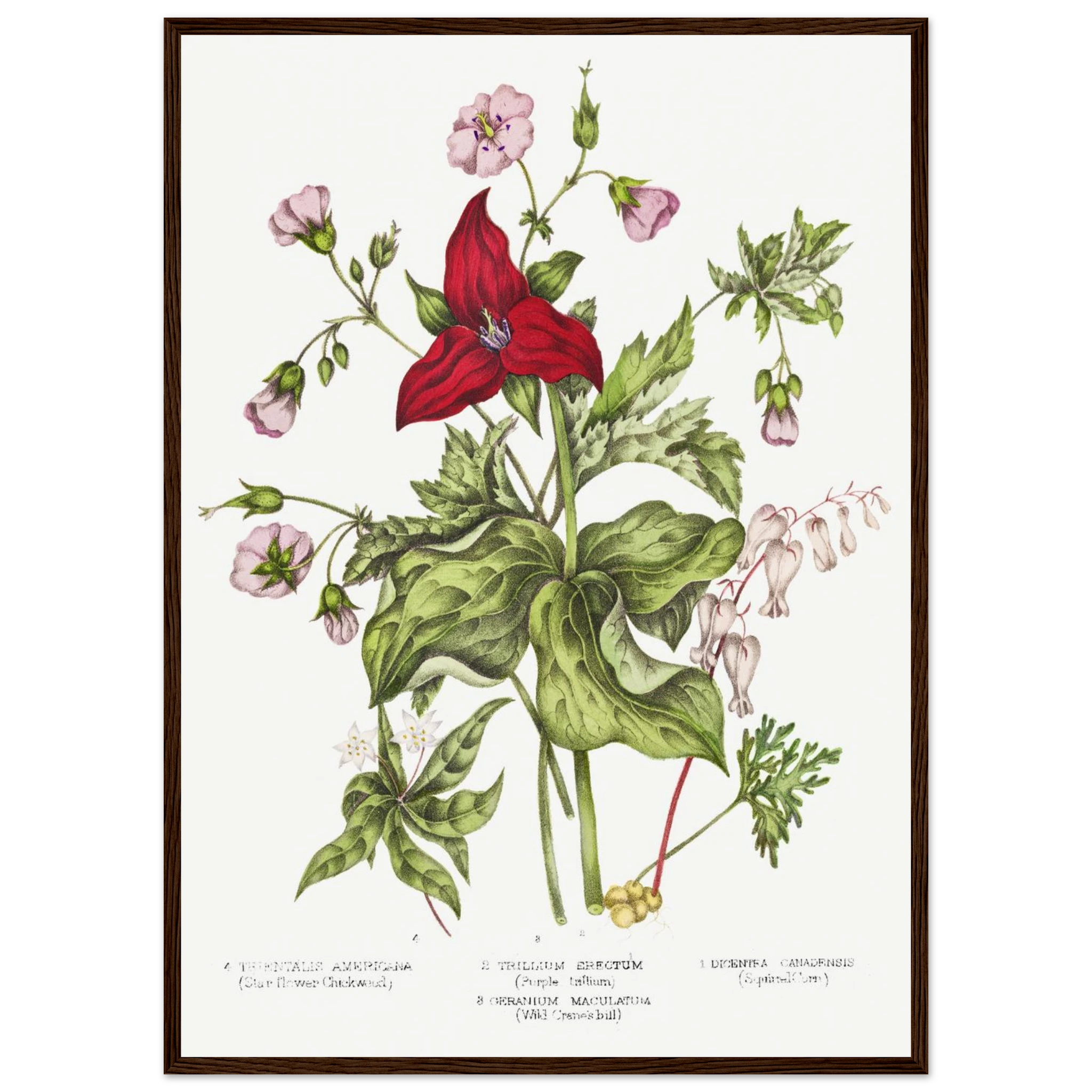 3514c222-5f70-4541-ac72-b705cb45b8d3