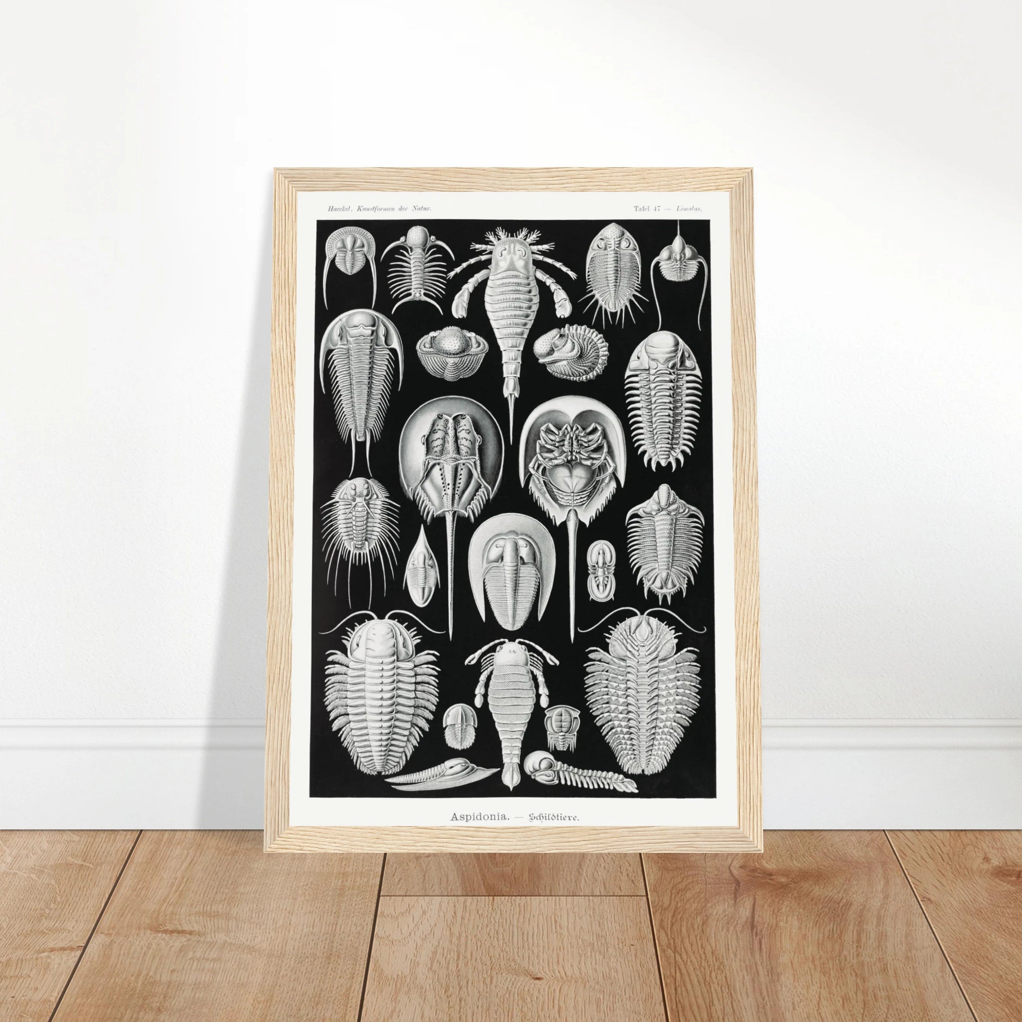 3542574e-db8a-418d-a3da-b9bc2ab1e2f6