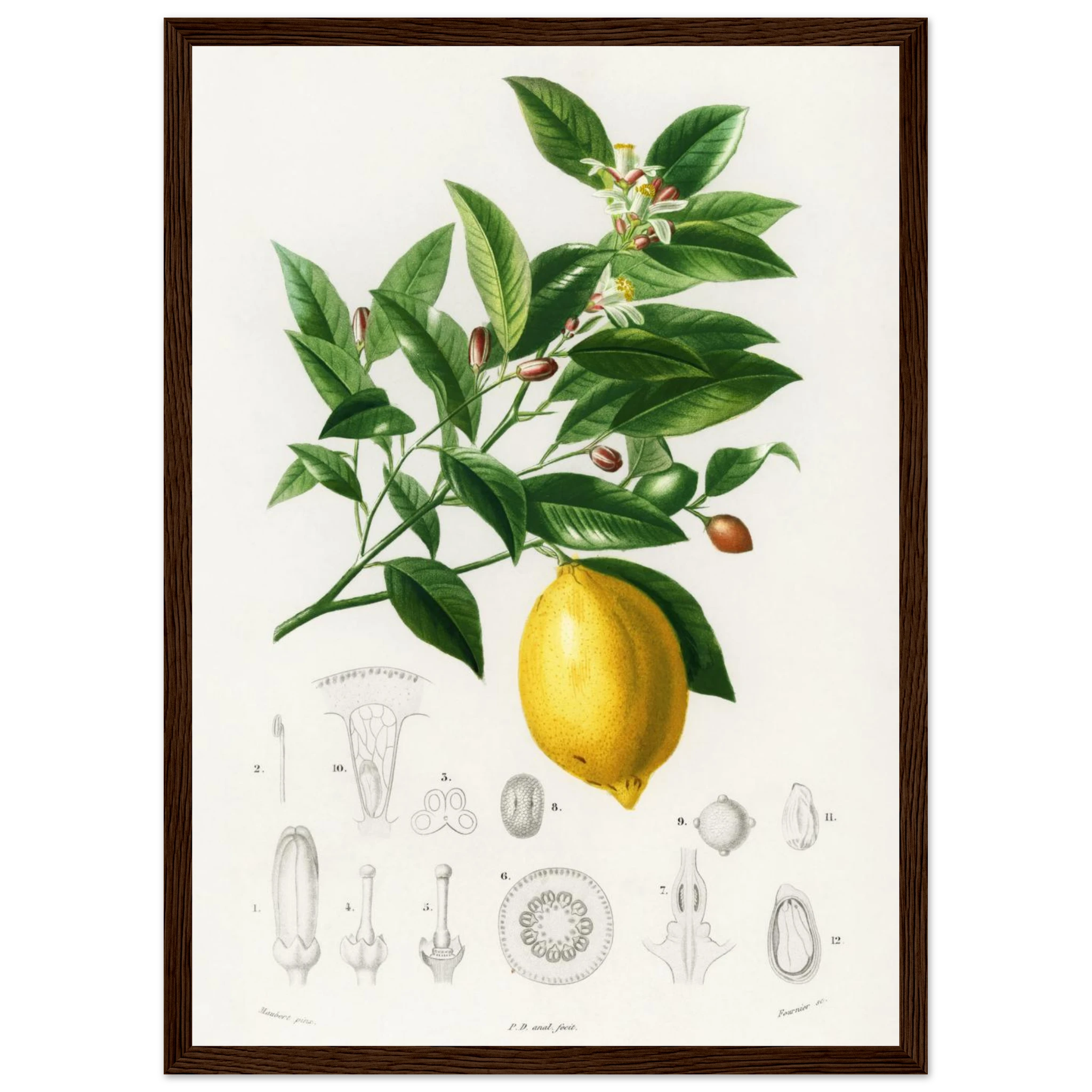 35450845-70a7-49cd-a46e-9d1217c8e5a0