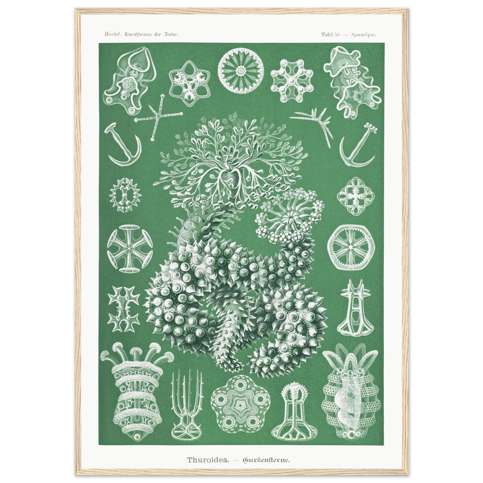 3570e2f7-5678-4c1d-84ab-0f2b6014c6ca