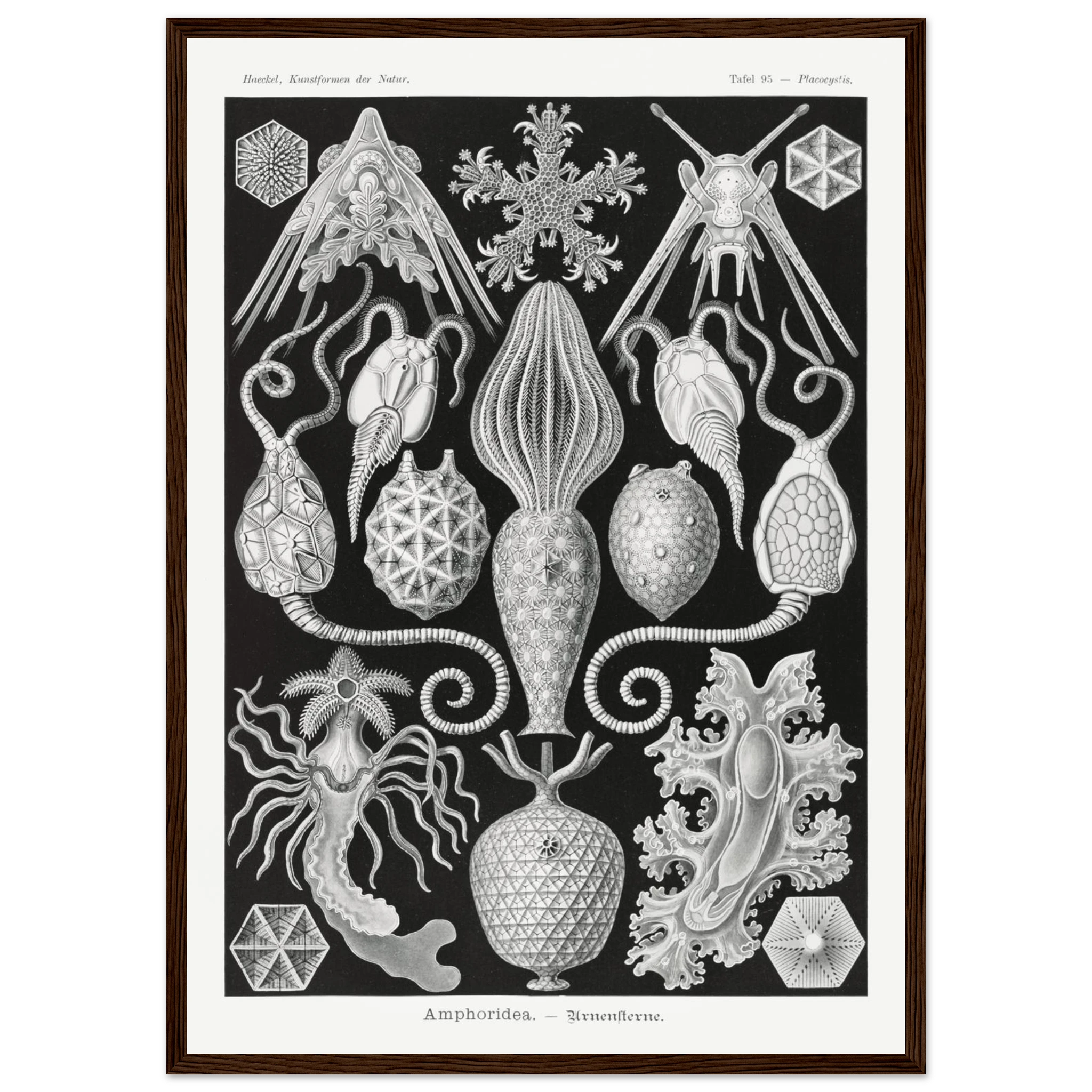 35d5f981-81fa-49bc-ae15-b435a34497db