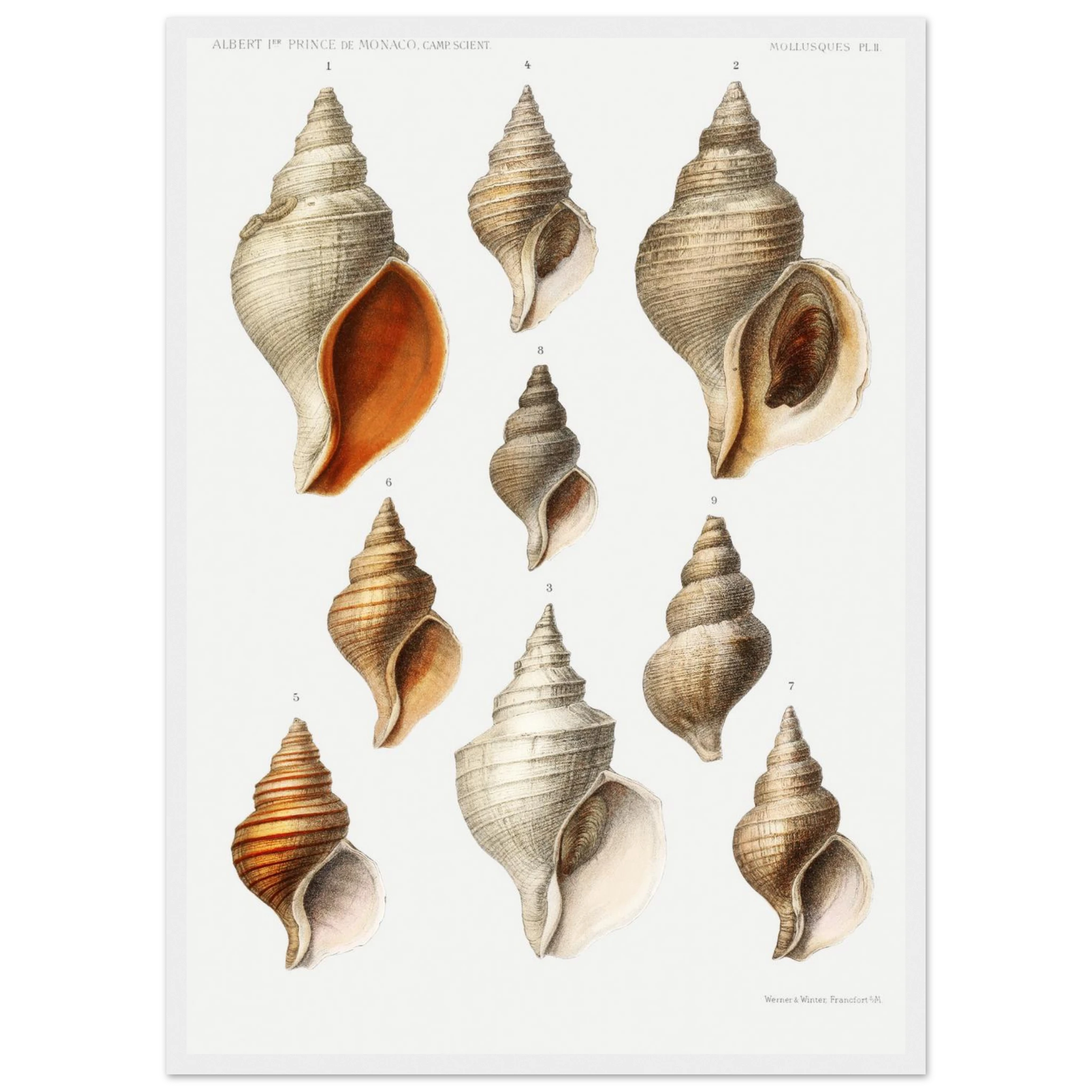 36477bb8-7b47-4bae-903b-fe1d2feb292d