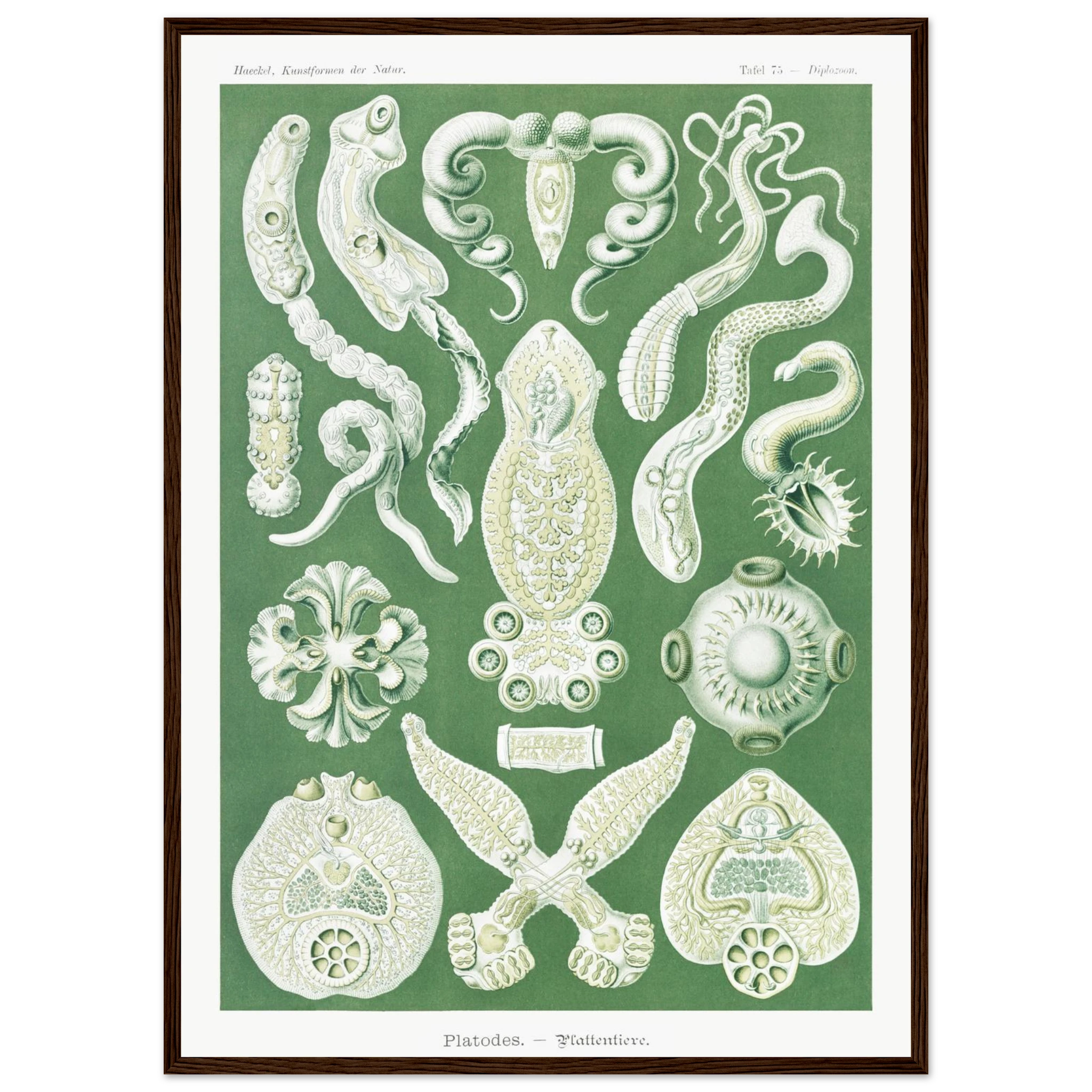 36663b6c-cd64-4ce7-916e-75c6fab04c2f