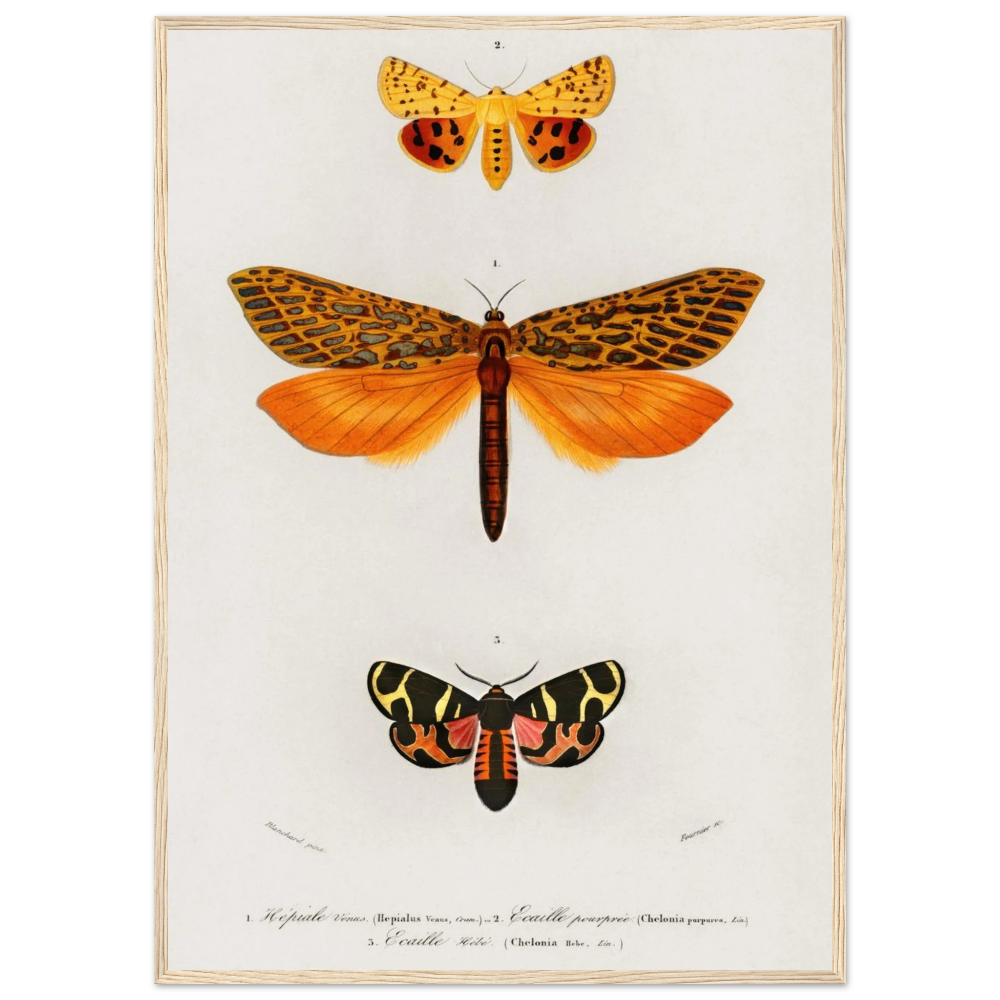 369b5a0b-8399-465f-8d35-af57c84696c2