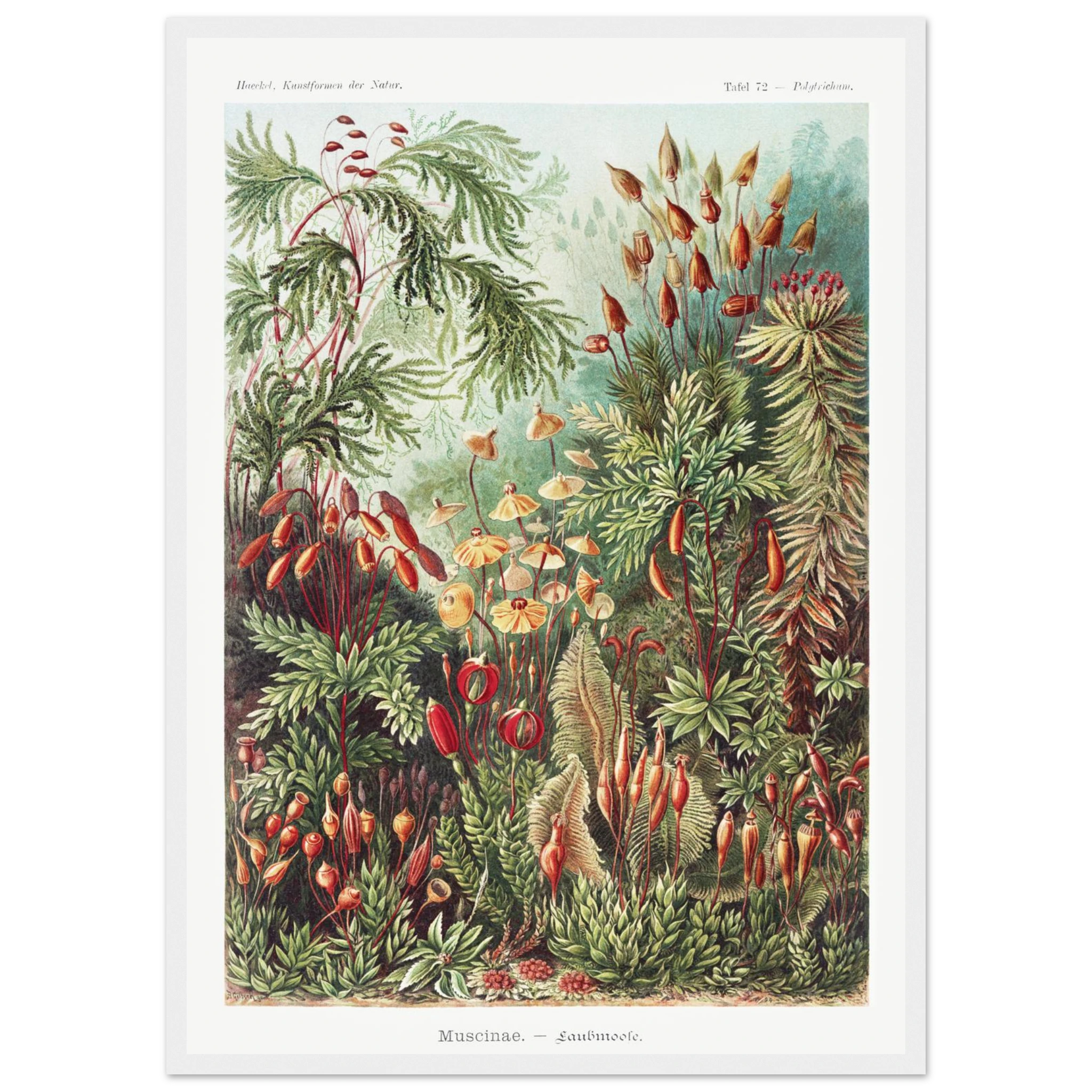 36b4fb97-4f56-4b0b-8bb2-0190816e7190